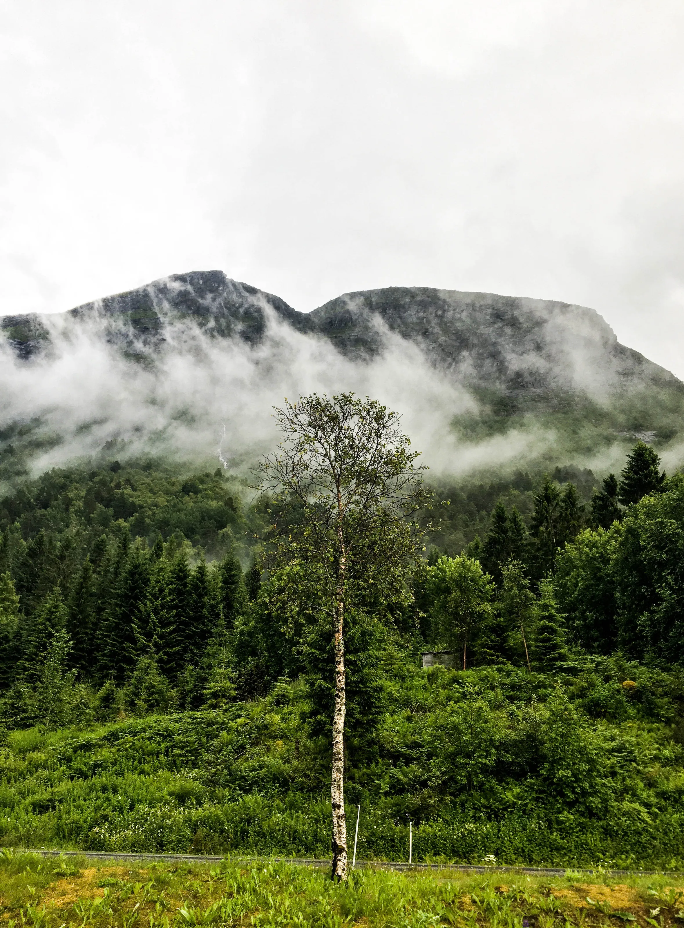 In the depth of Norway
