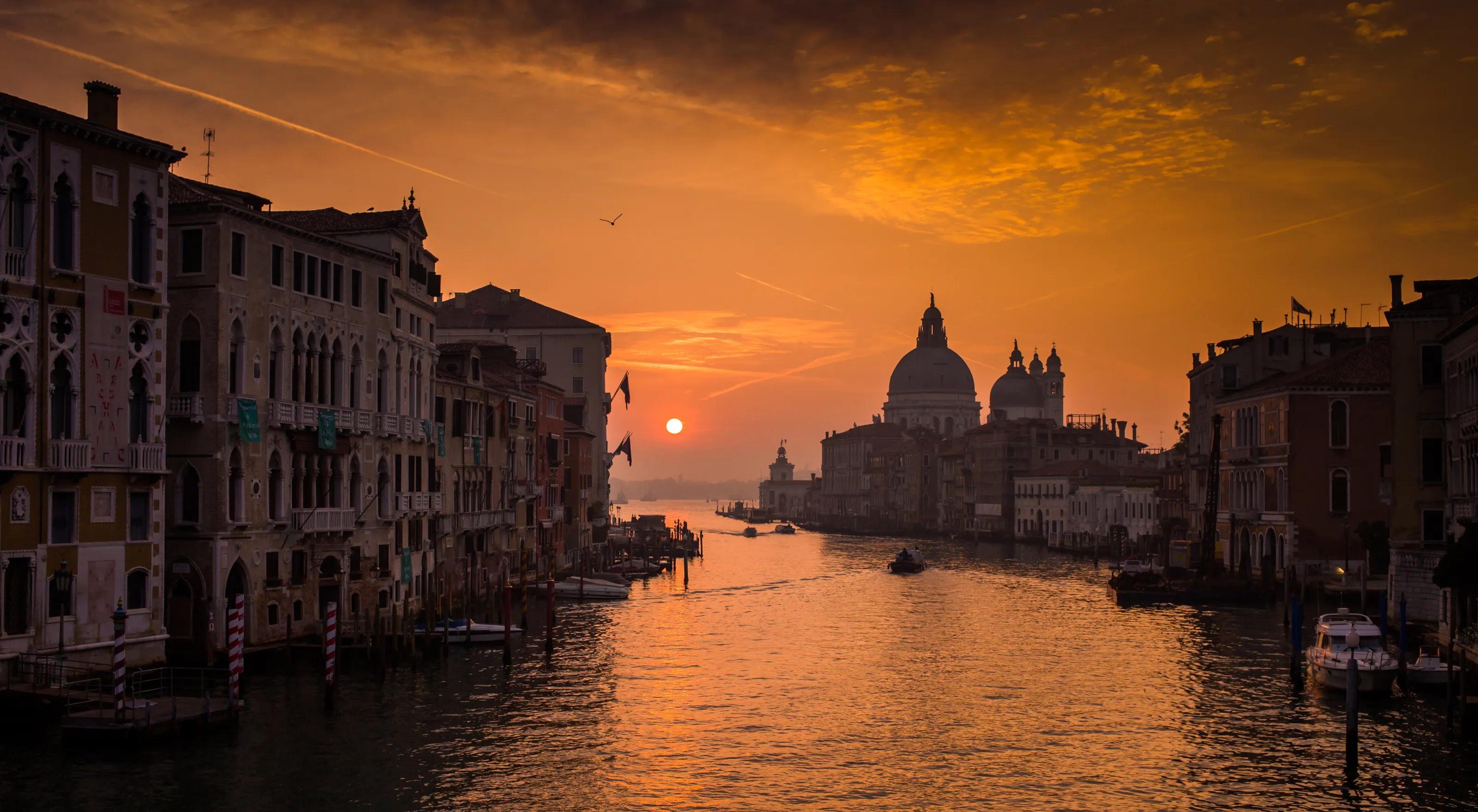 Great Morning in Venice