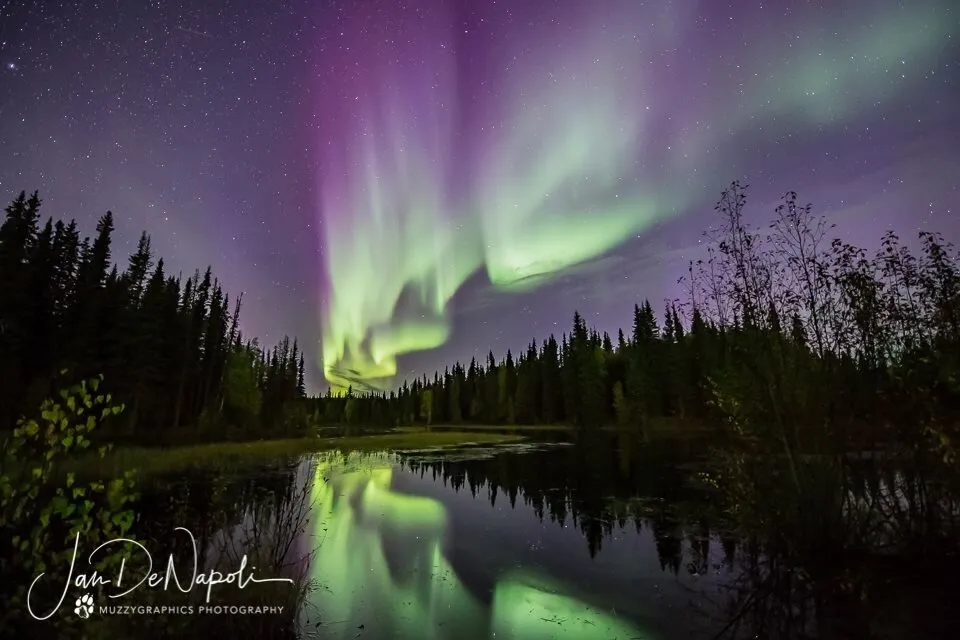 Aurora Borealis Reflection