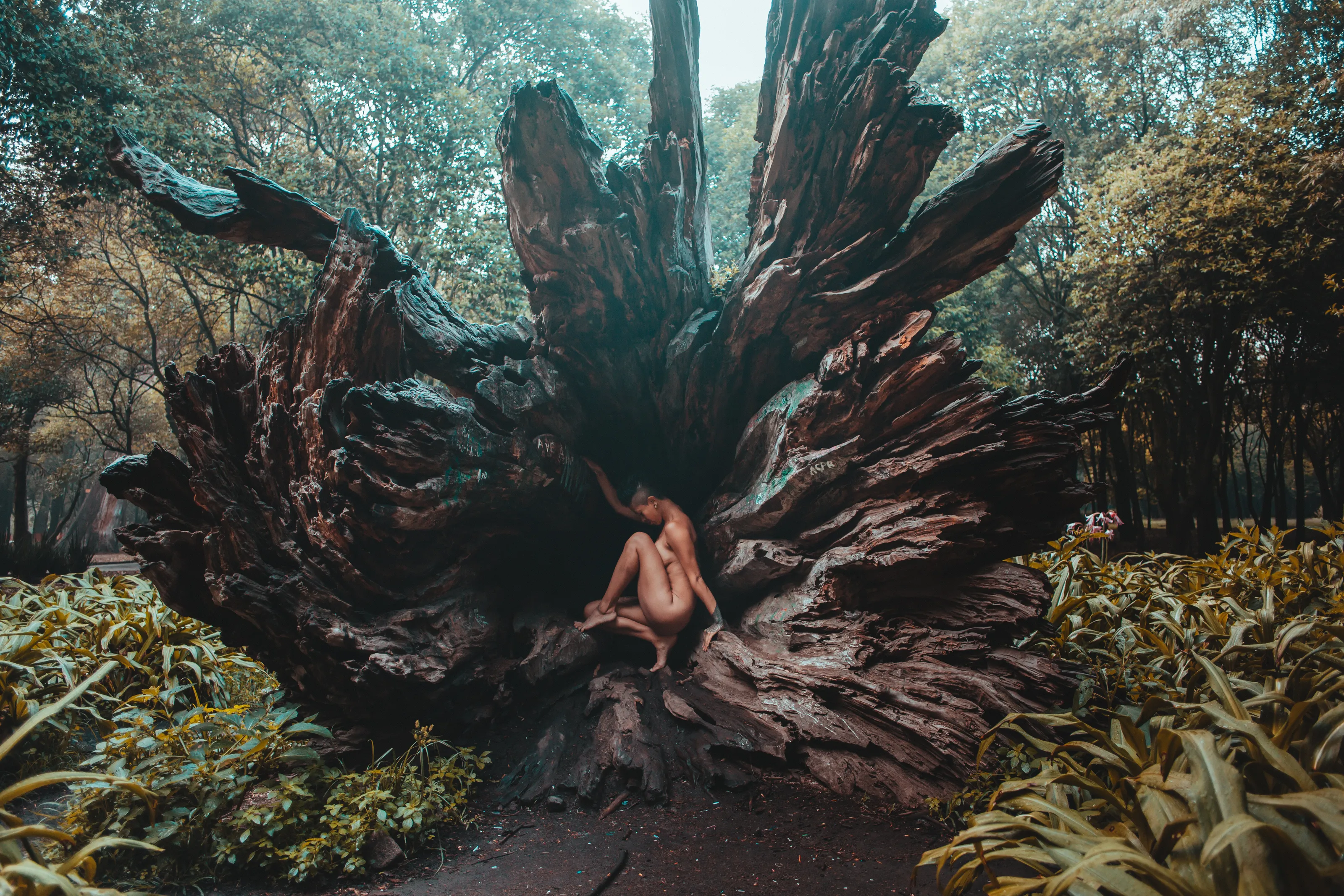 Mother nature