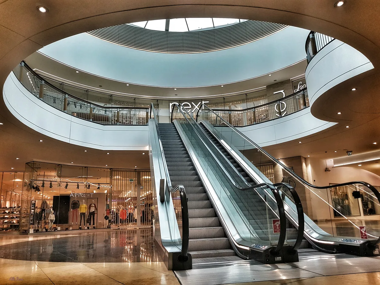 Entry 11350608