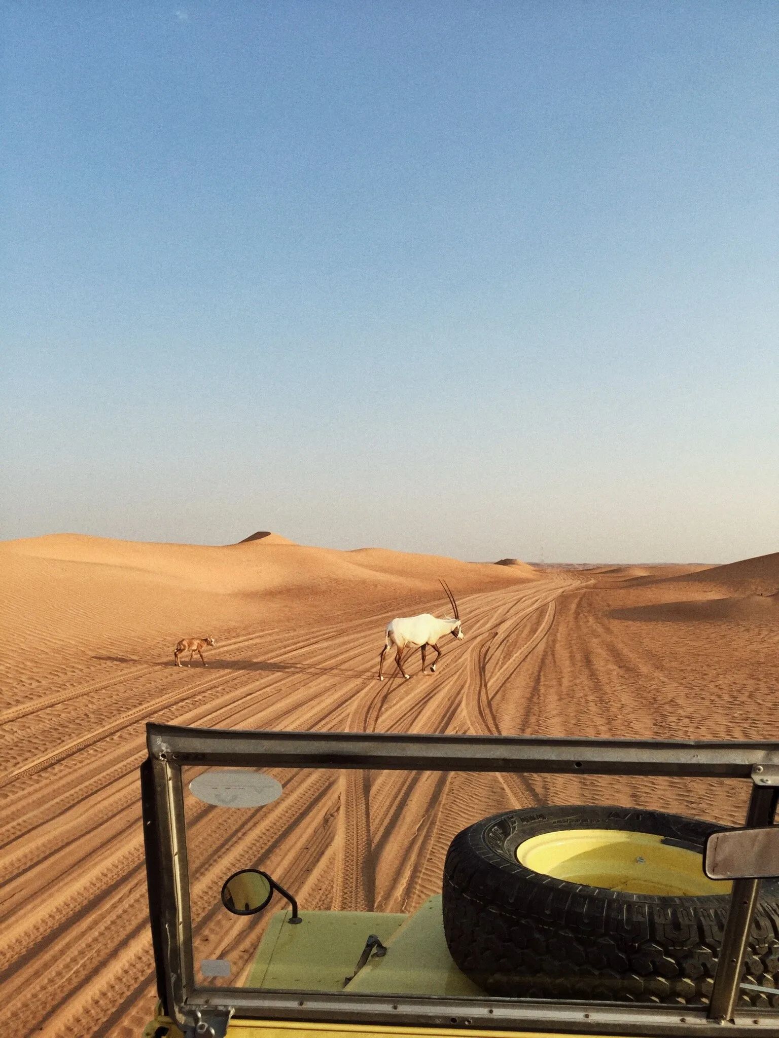 Desert of Dubai
