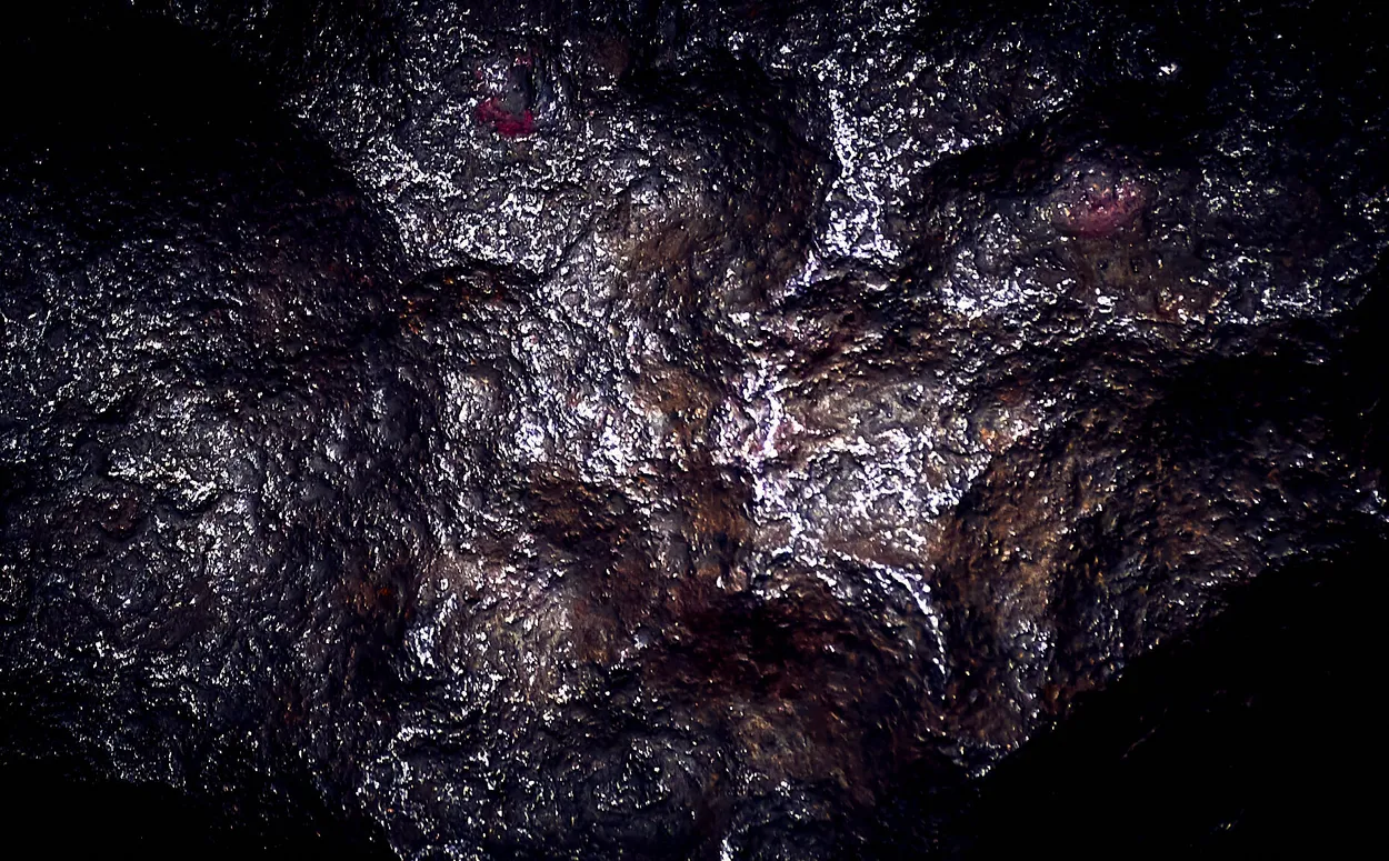Entry 2810278