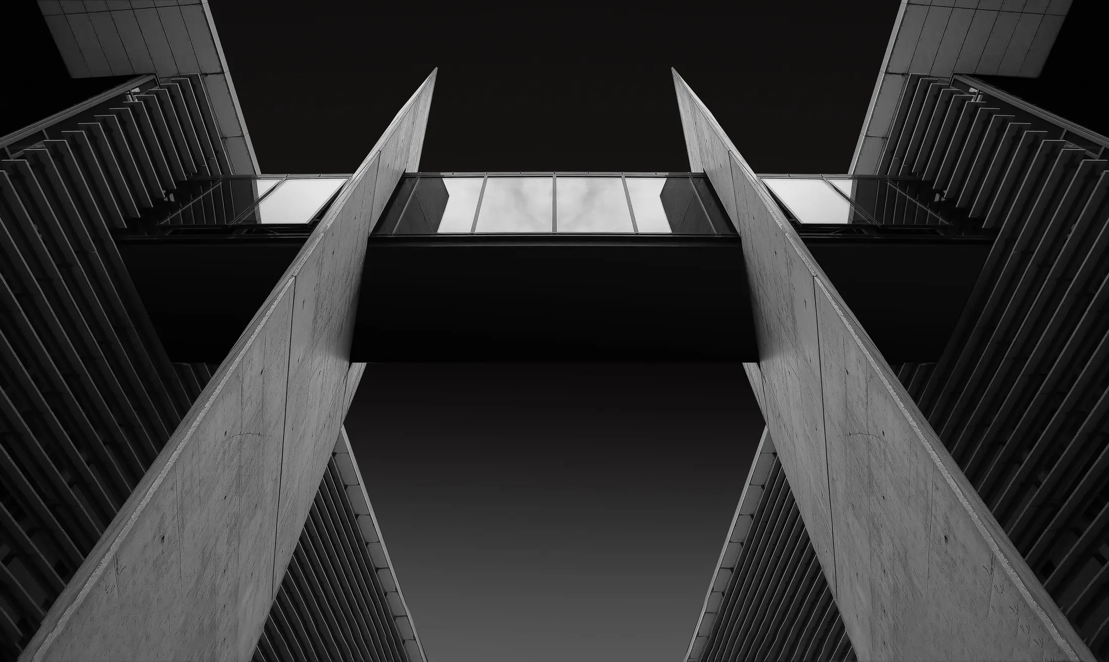 Entry 2822030
