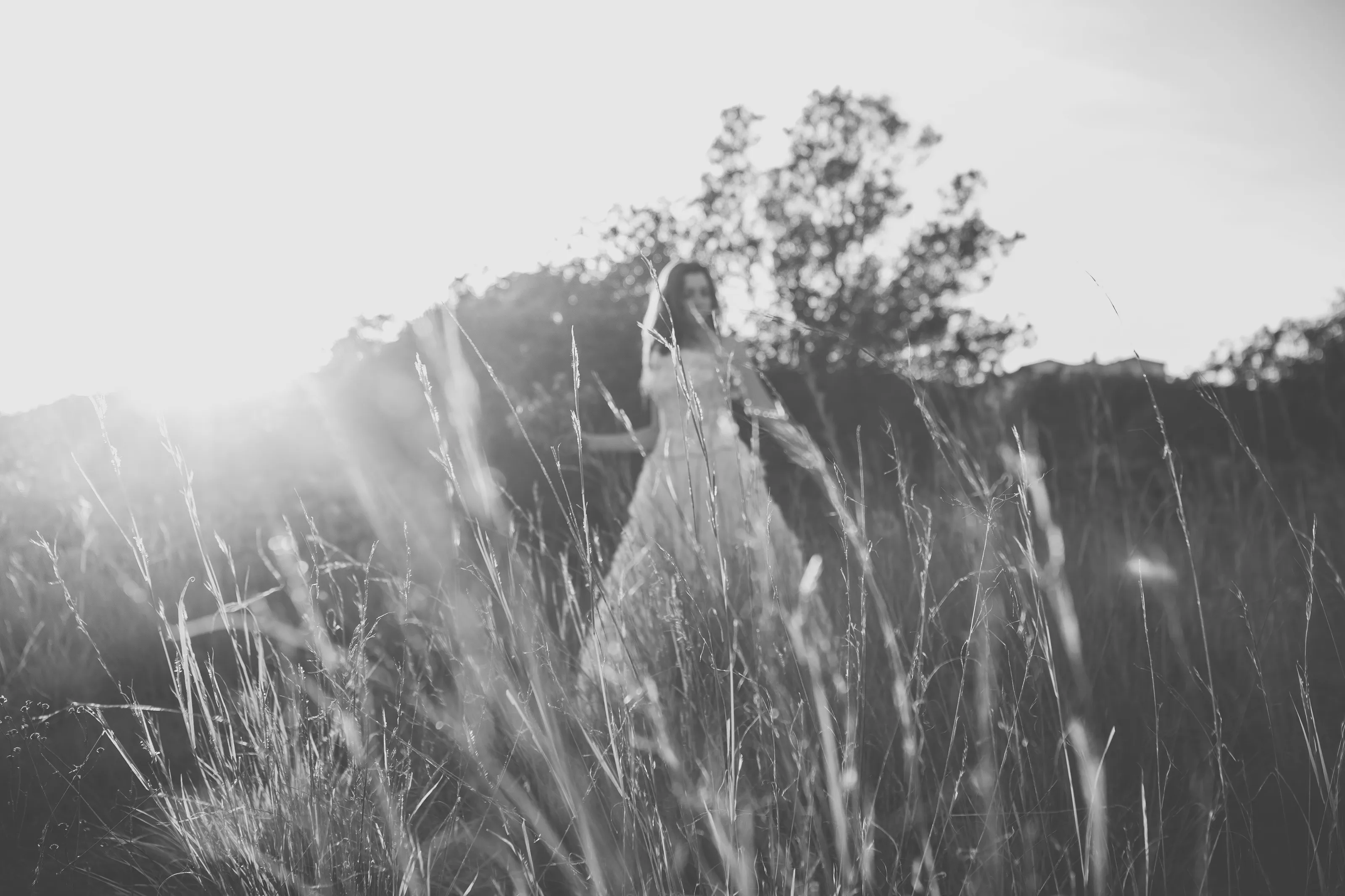 Lost in a day dream
