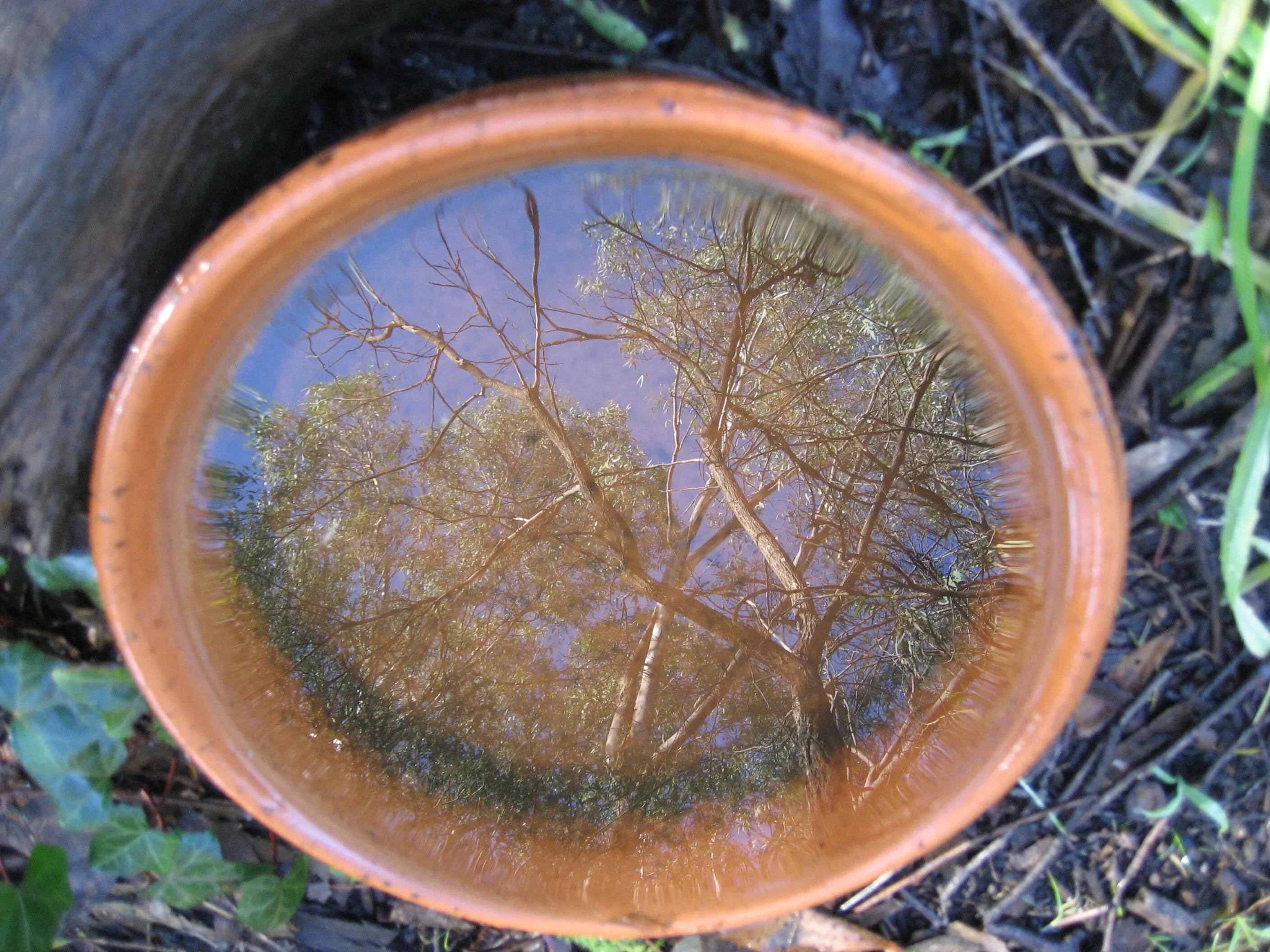 Reflection