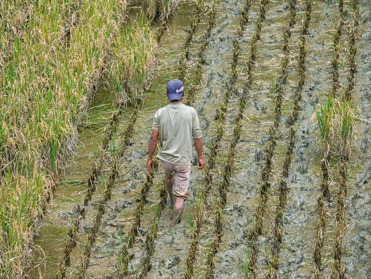 Entry 2831048