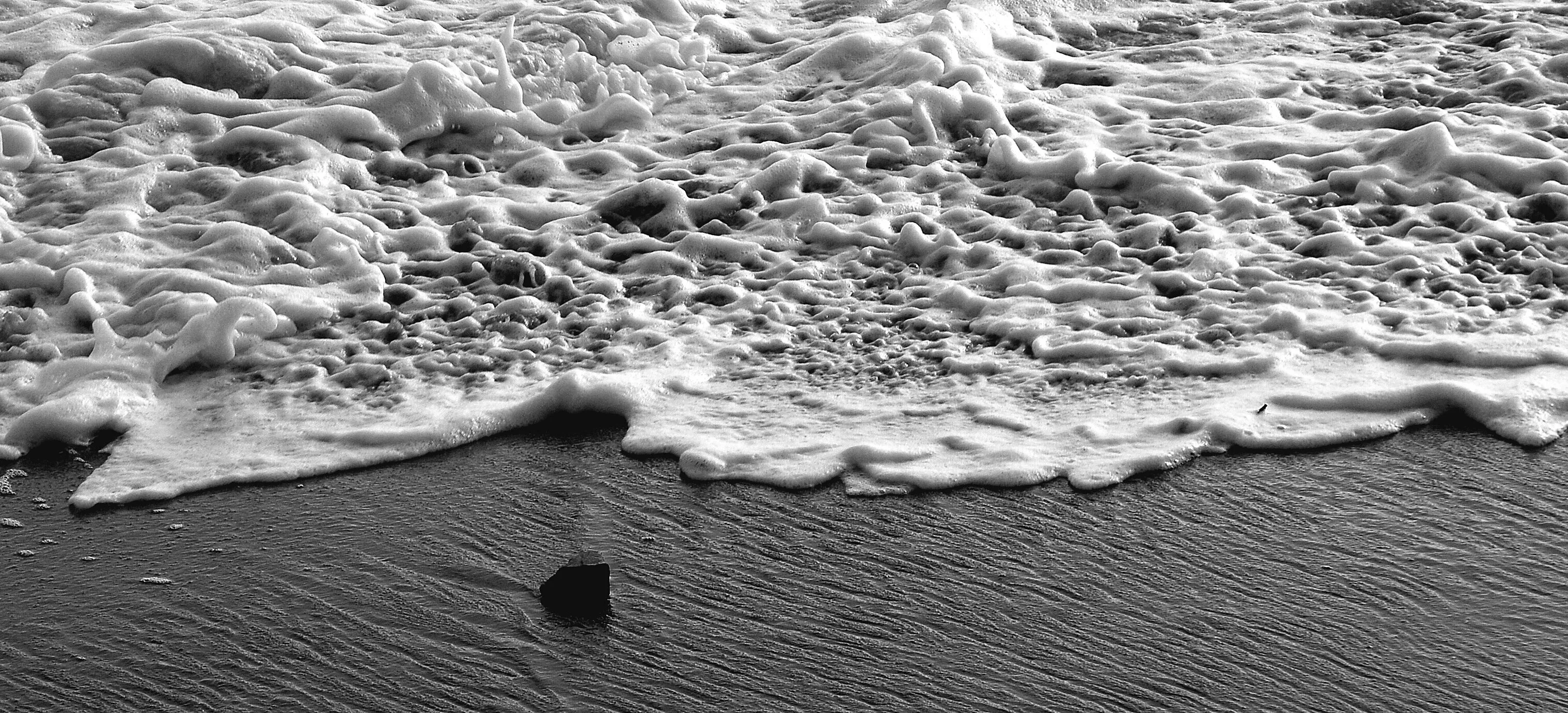 Ebb
