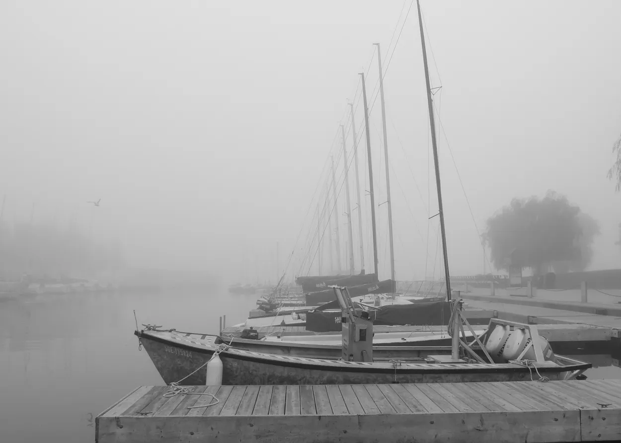 Entry 2842104