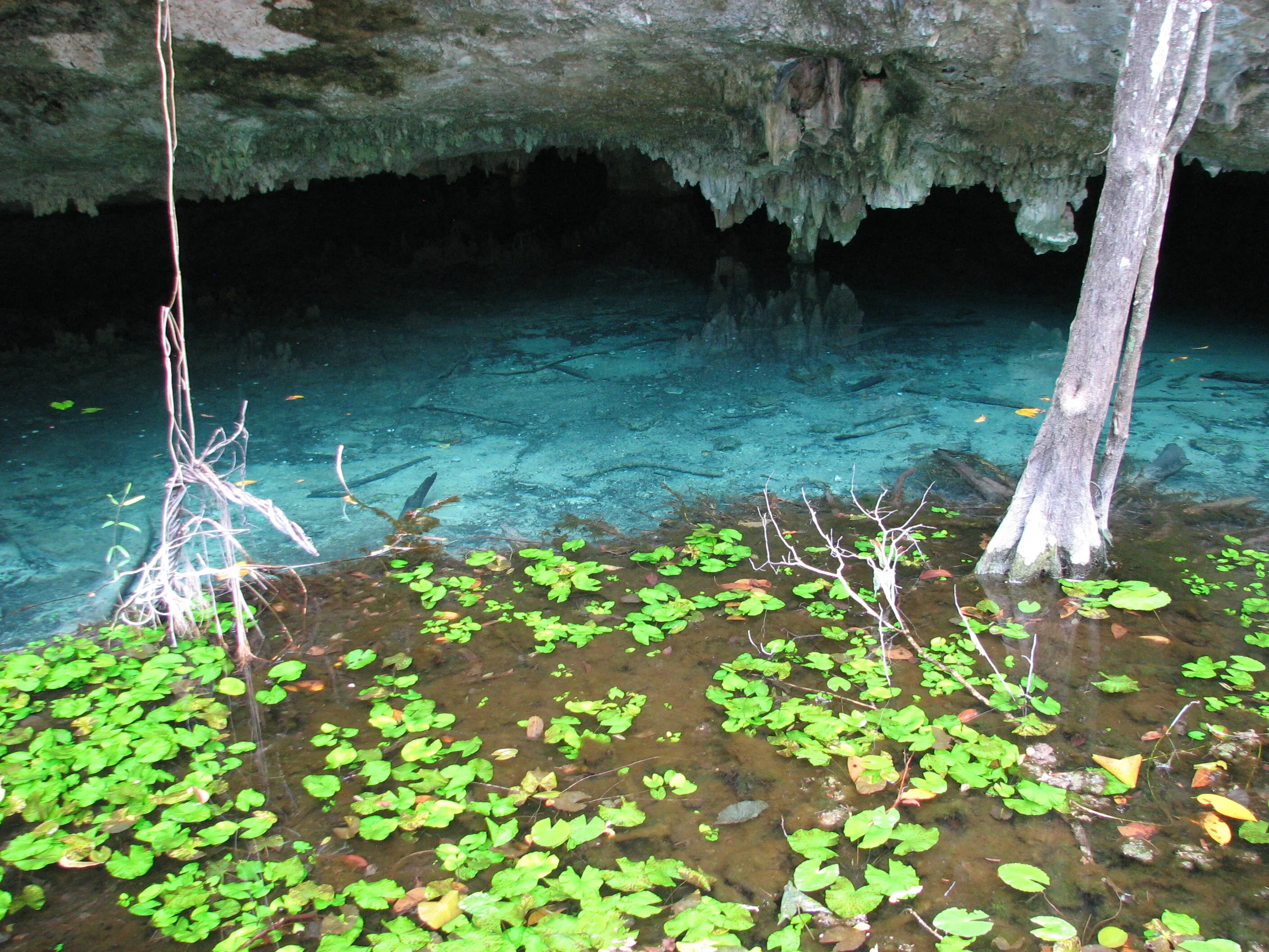 cave with a lake - cenote