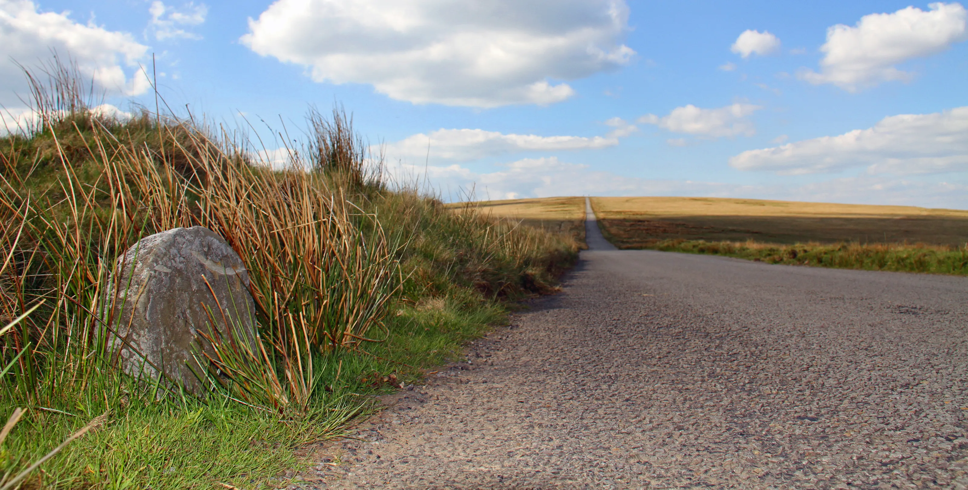 The long road / y filltir fain