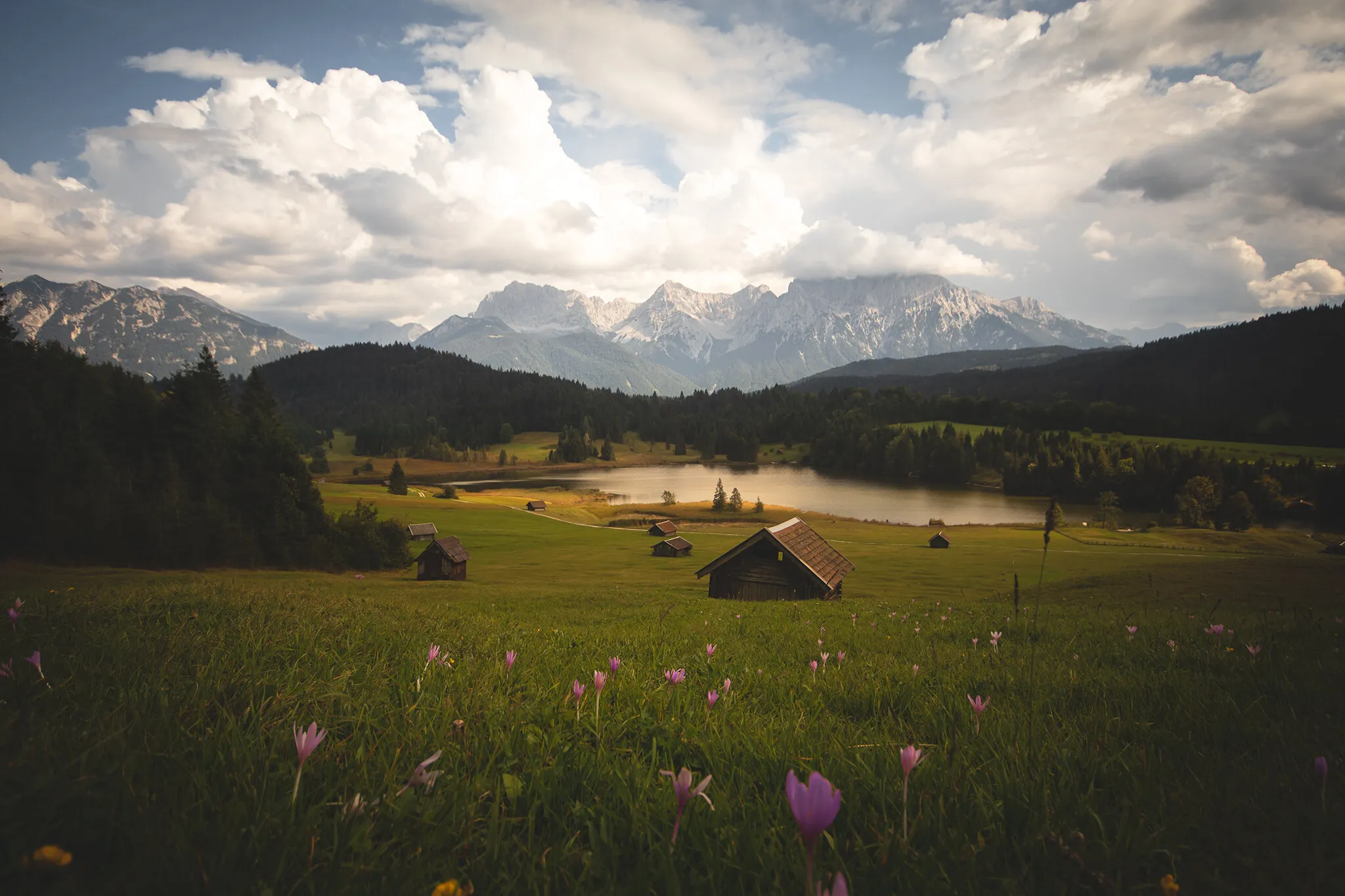 Meadow in Germany