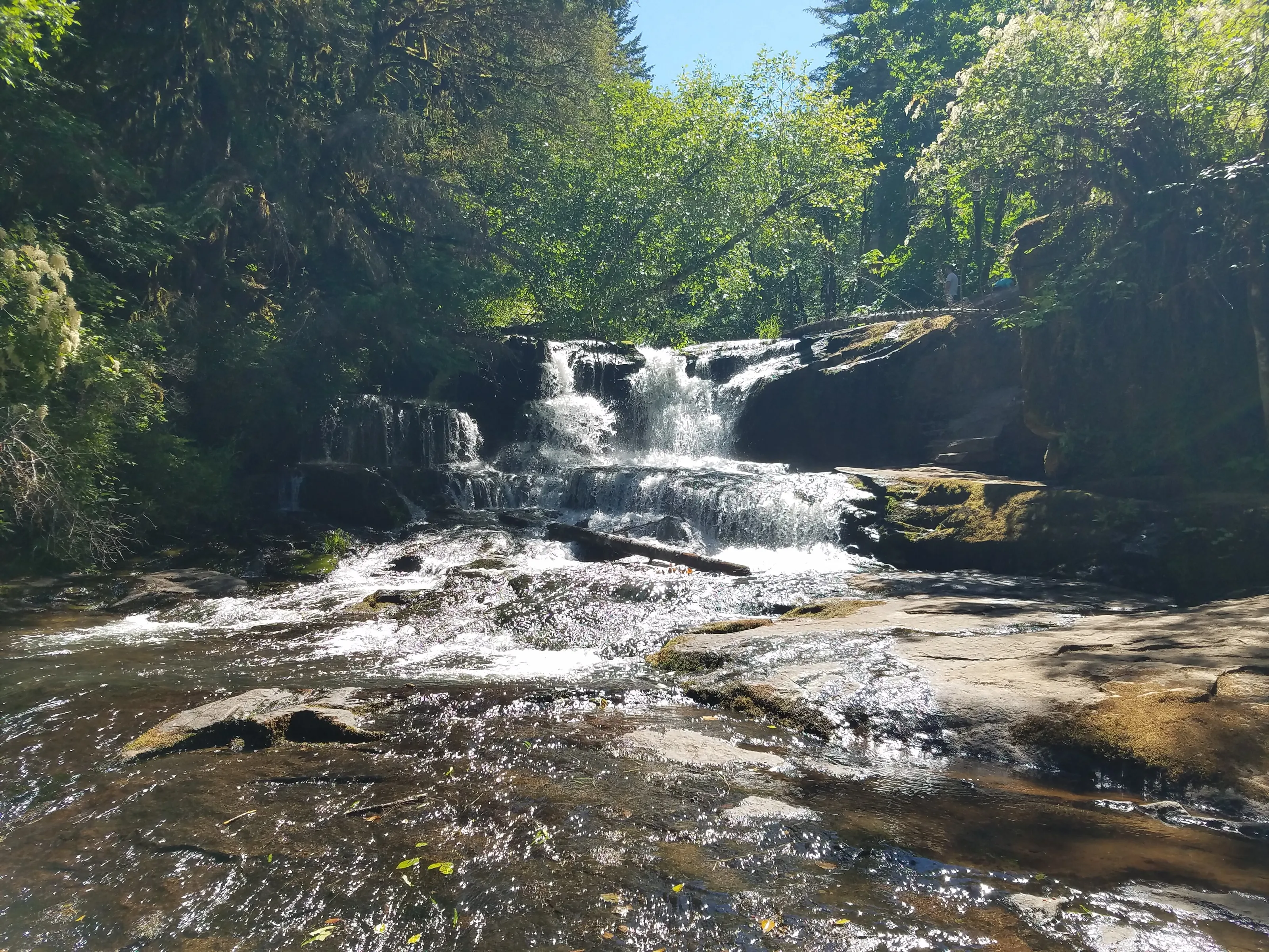 Alsea Falls