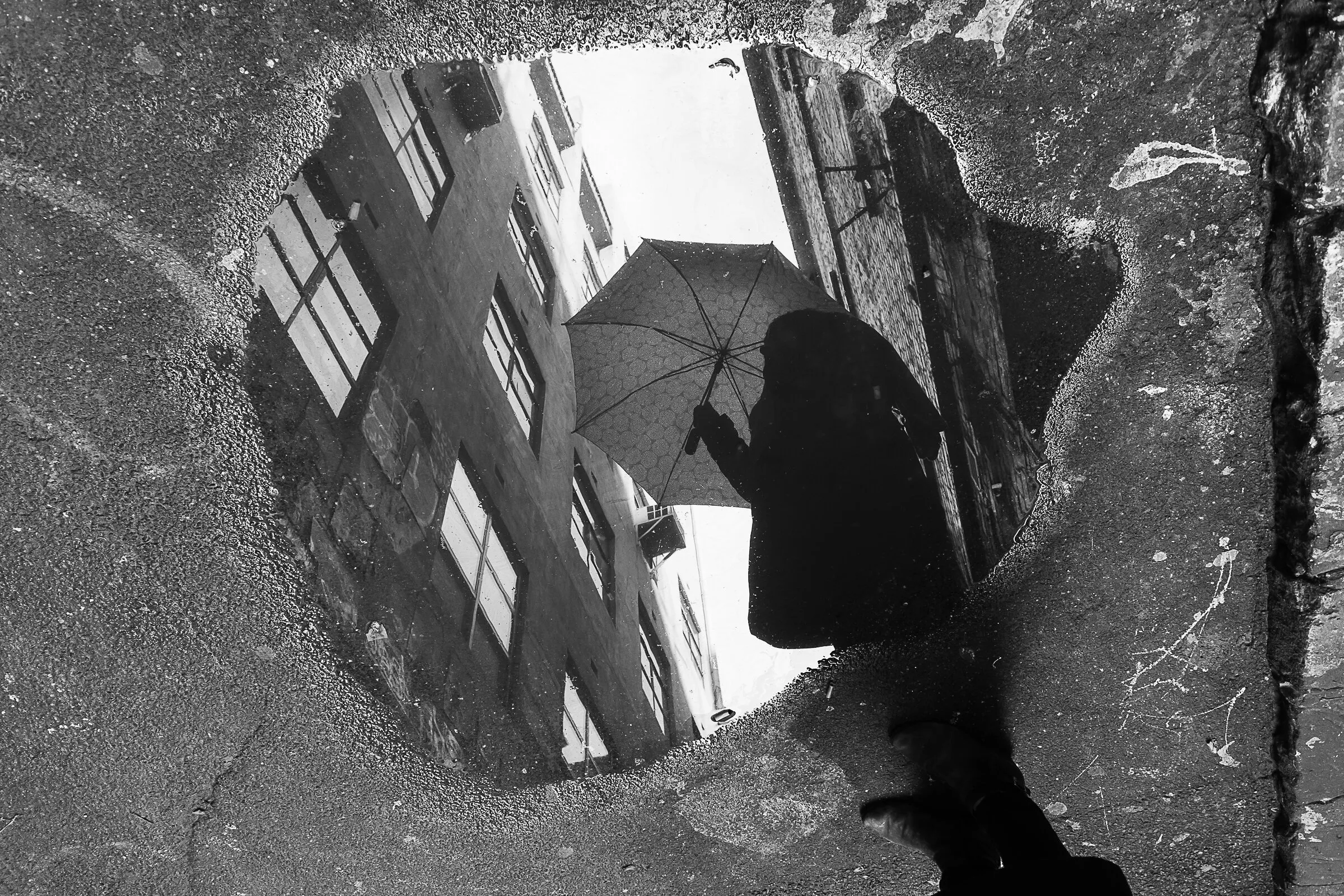 Looking through a Puddle