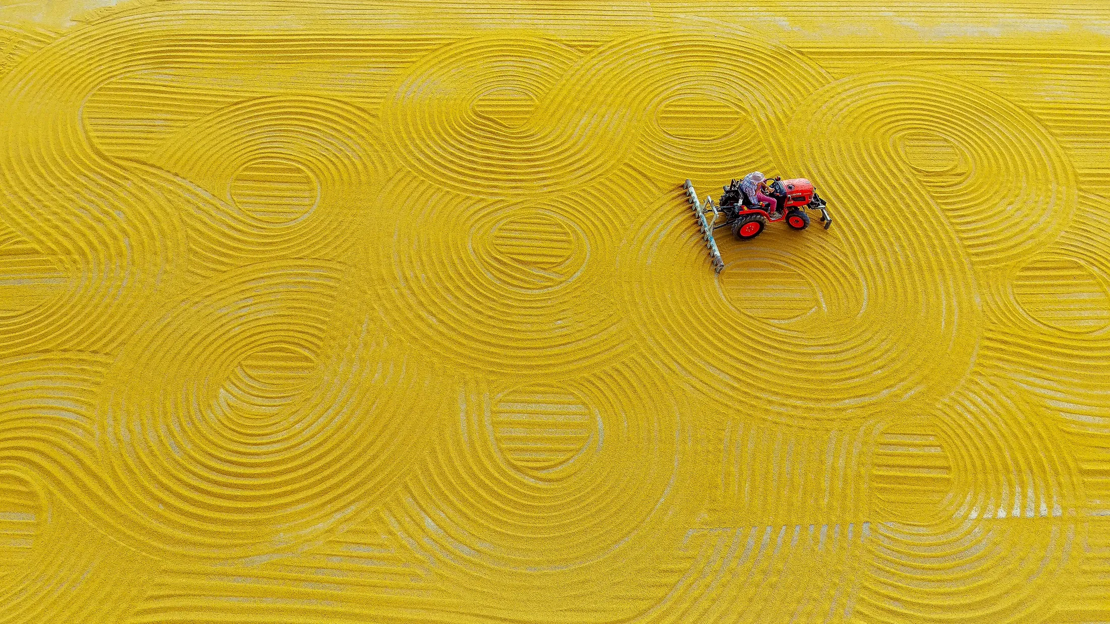 findings drying