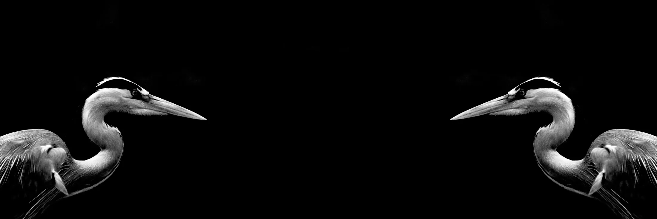 Entry 2912656