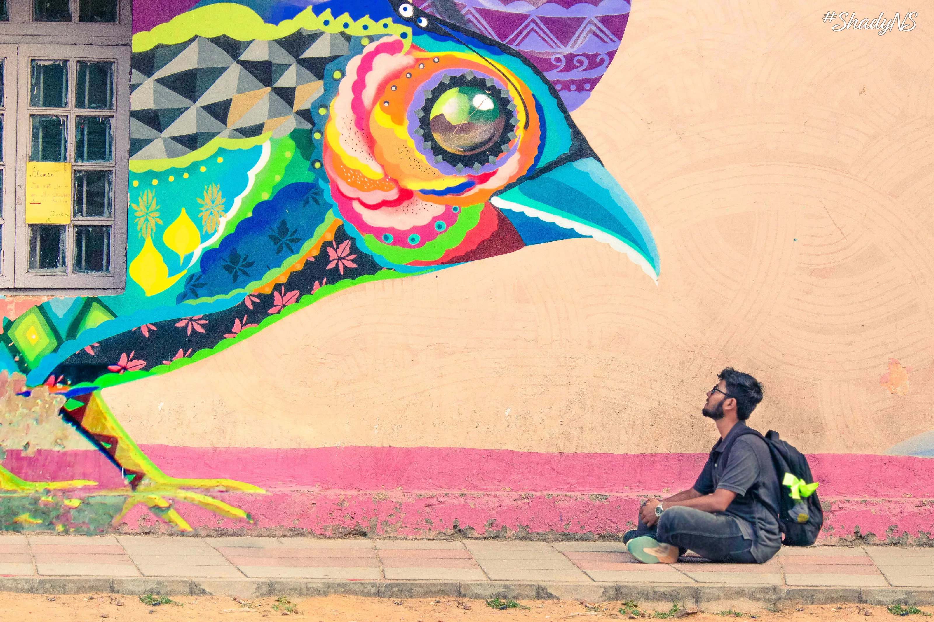 Thoughts - Free as a bird!