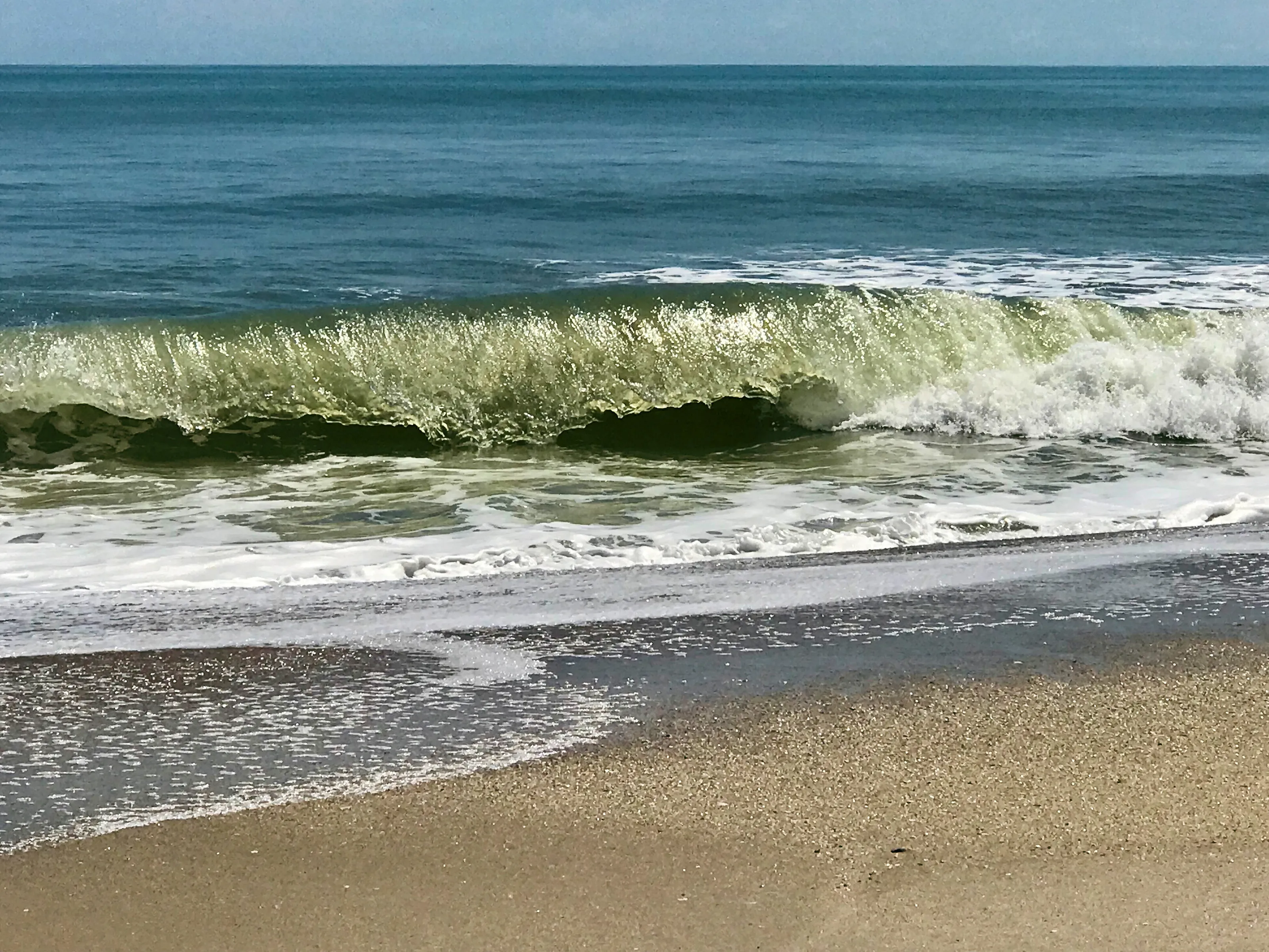 Wave Motion