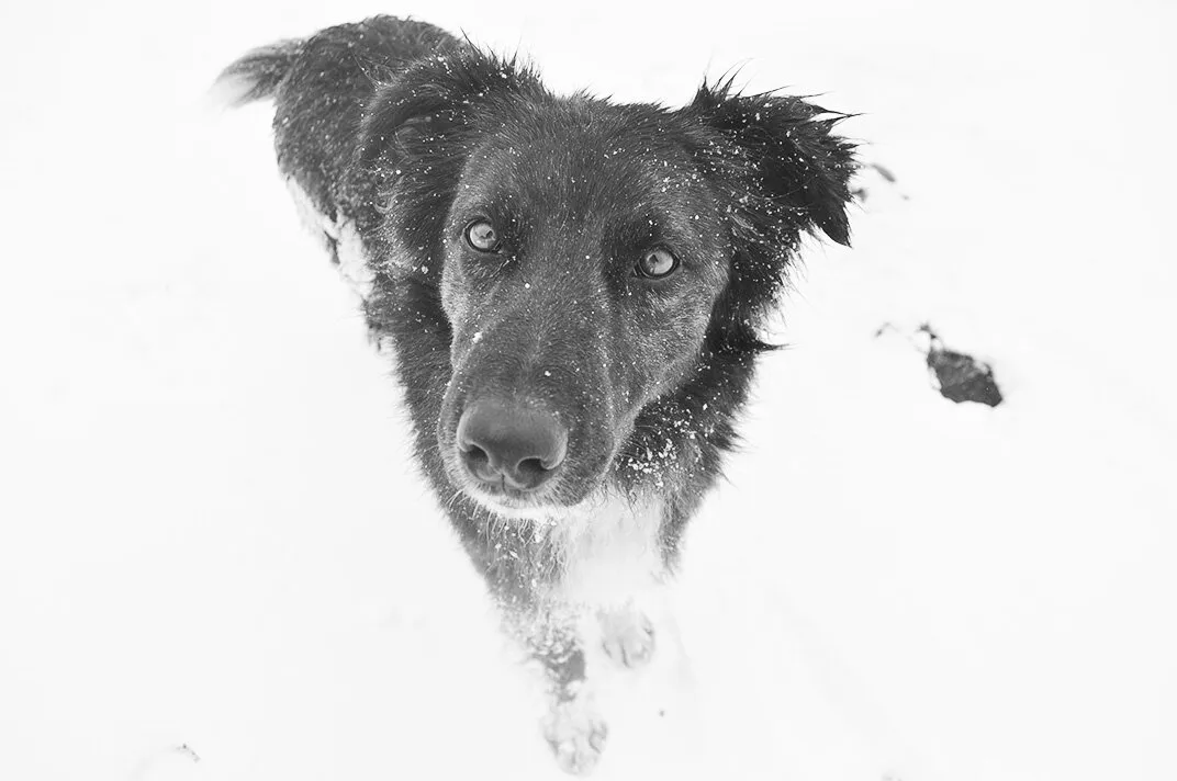 Snow