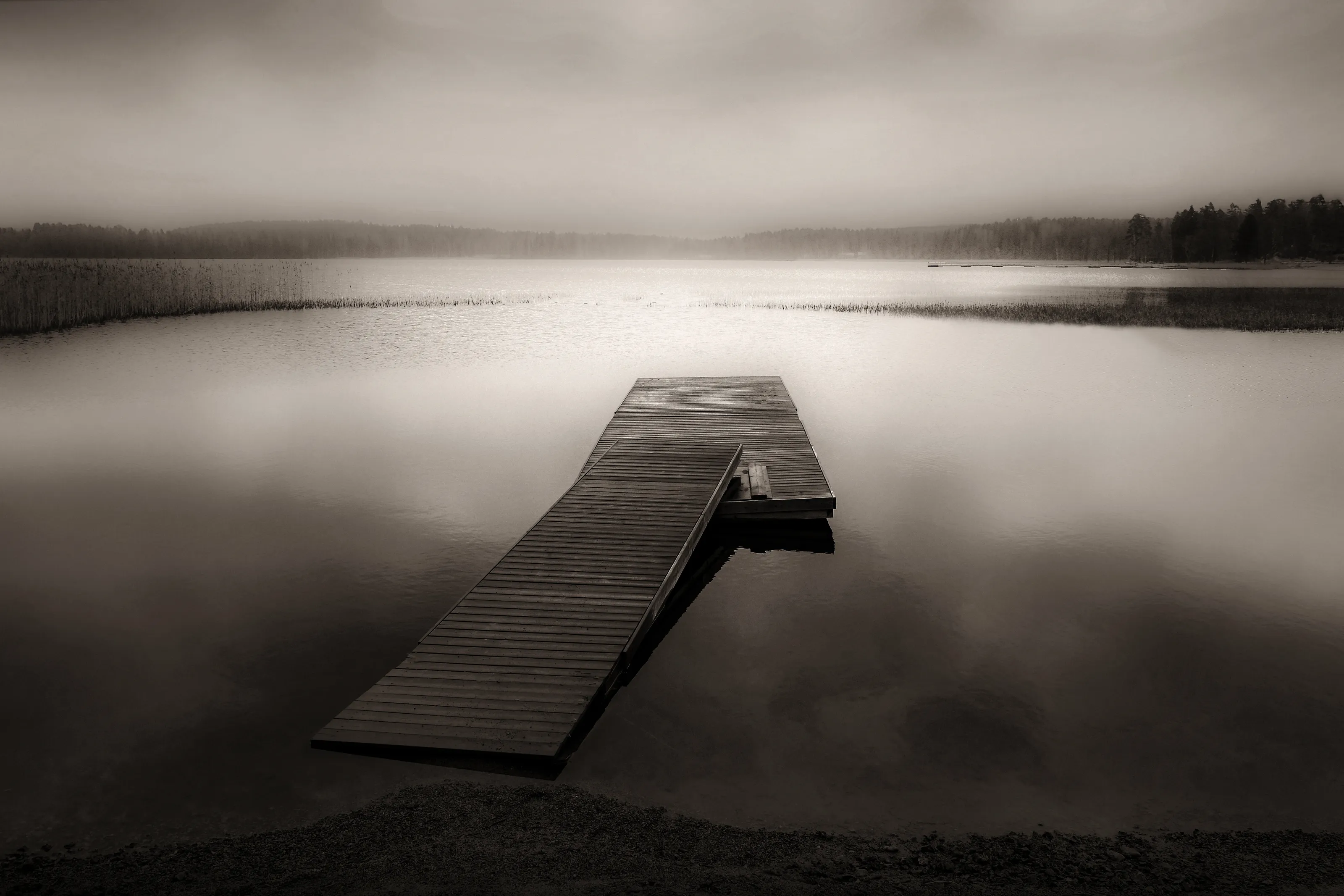 Waterscape