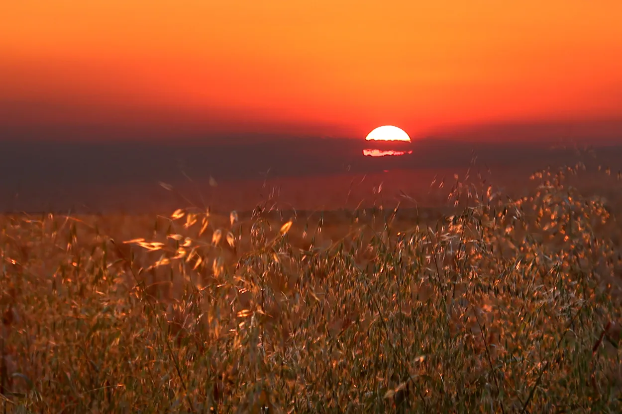 Entry 177066