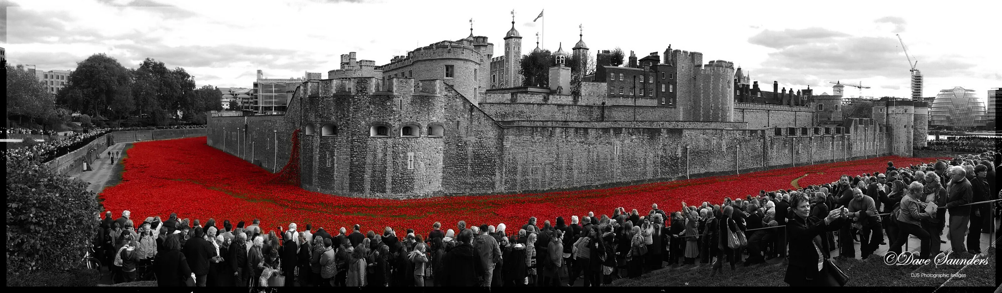 Tower of London Poppies