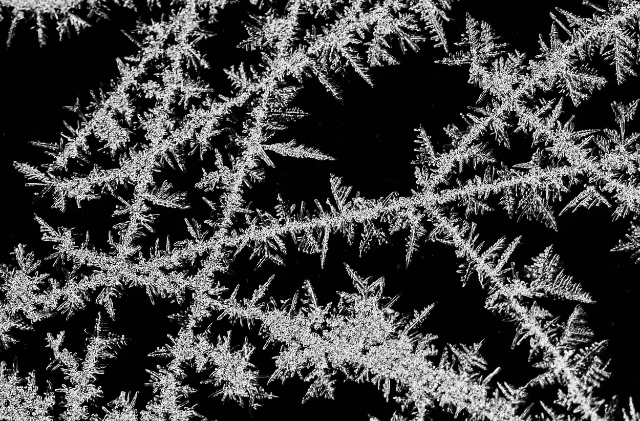 The Abstractness of Ice