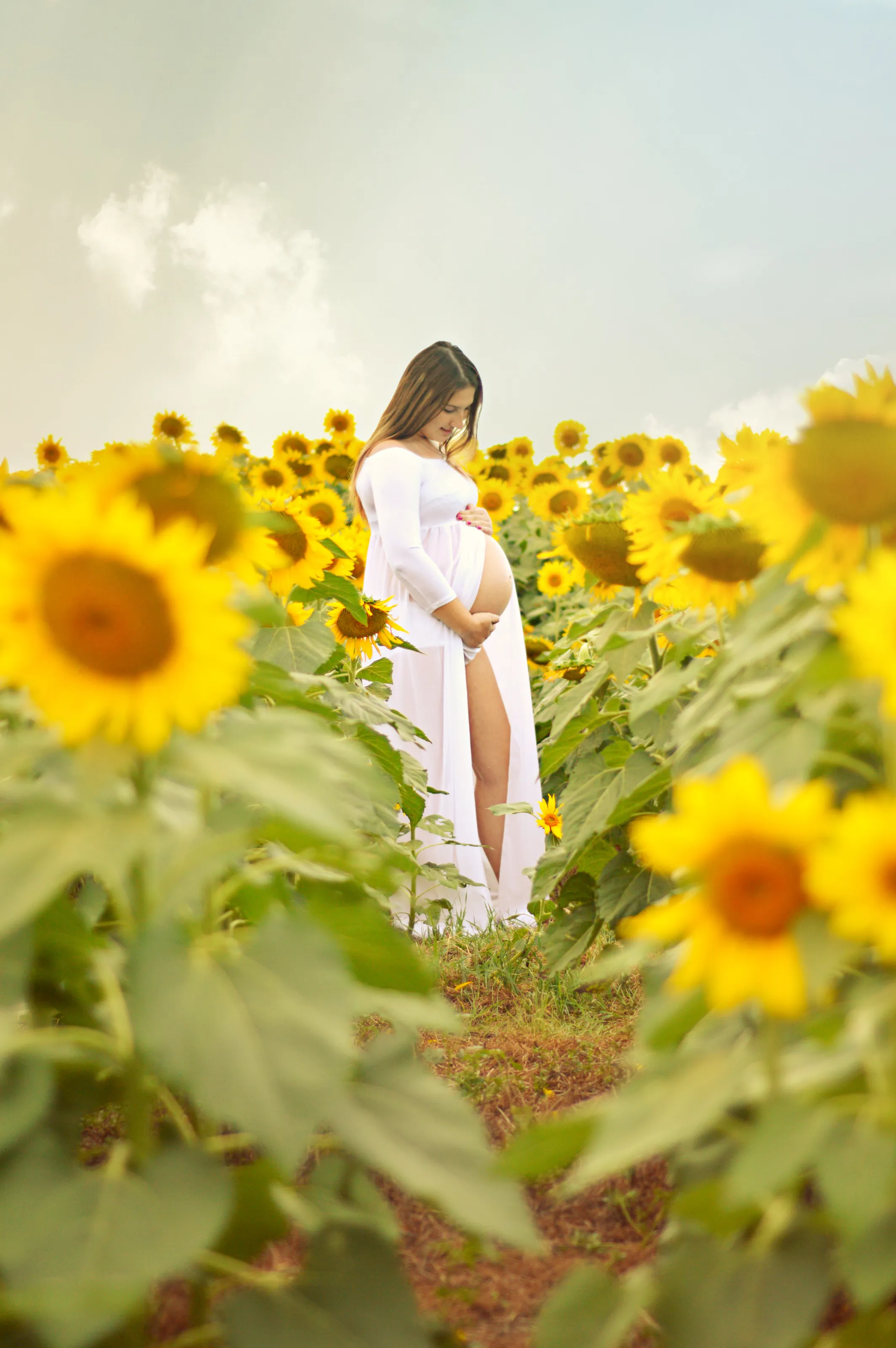 Sunflower Baby