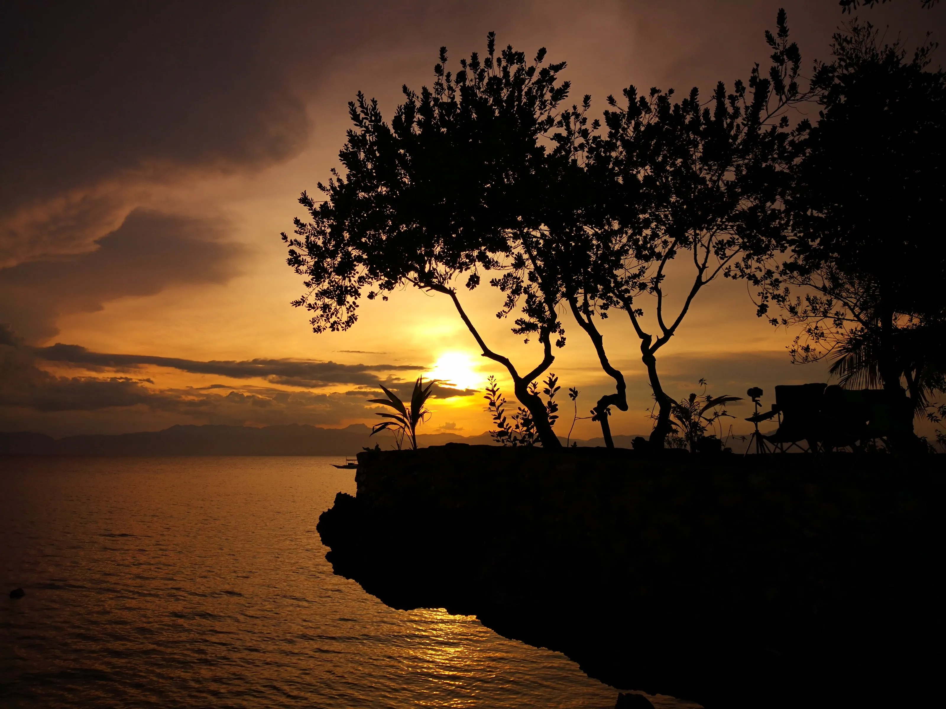 Goodbye for now