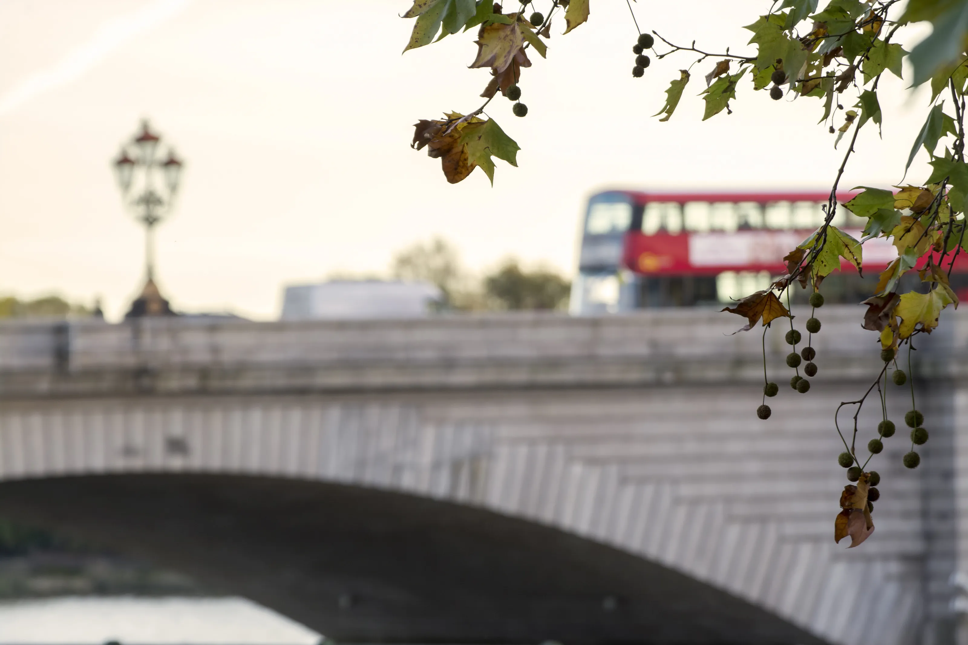 Autumn in London