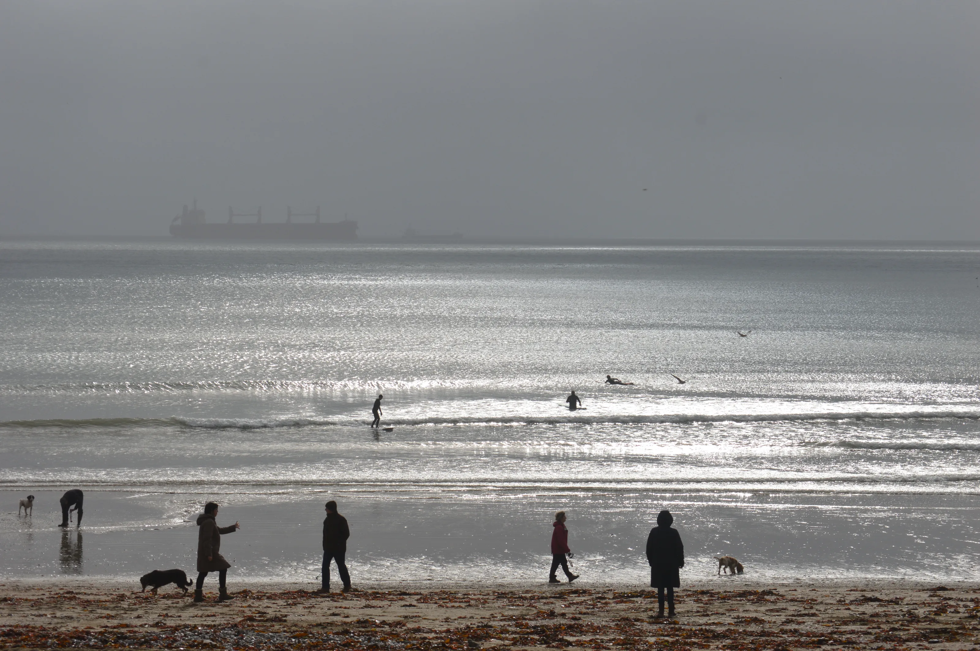 A fine February morning in Falmouth