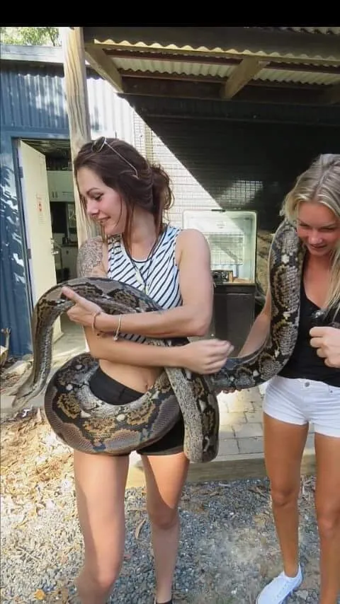 7 meters of awesome  😍🐍🐍❤