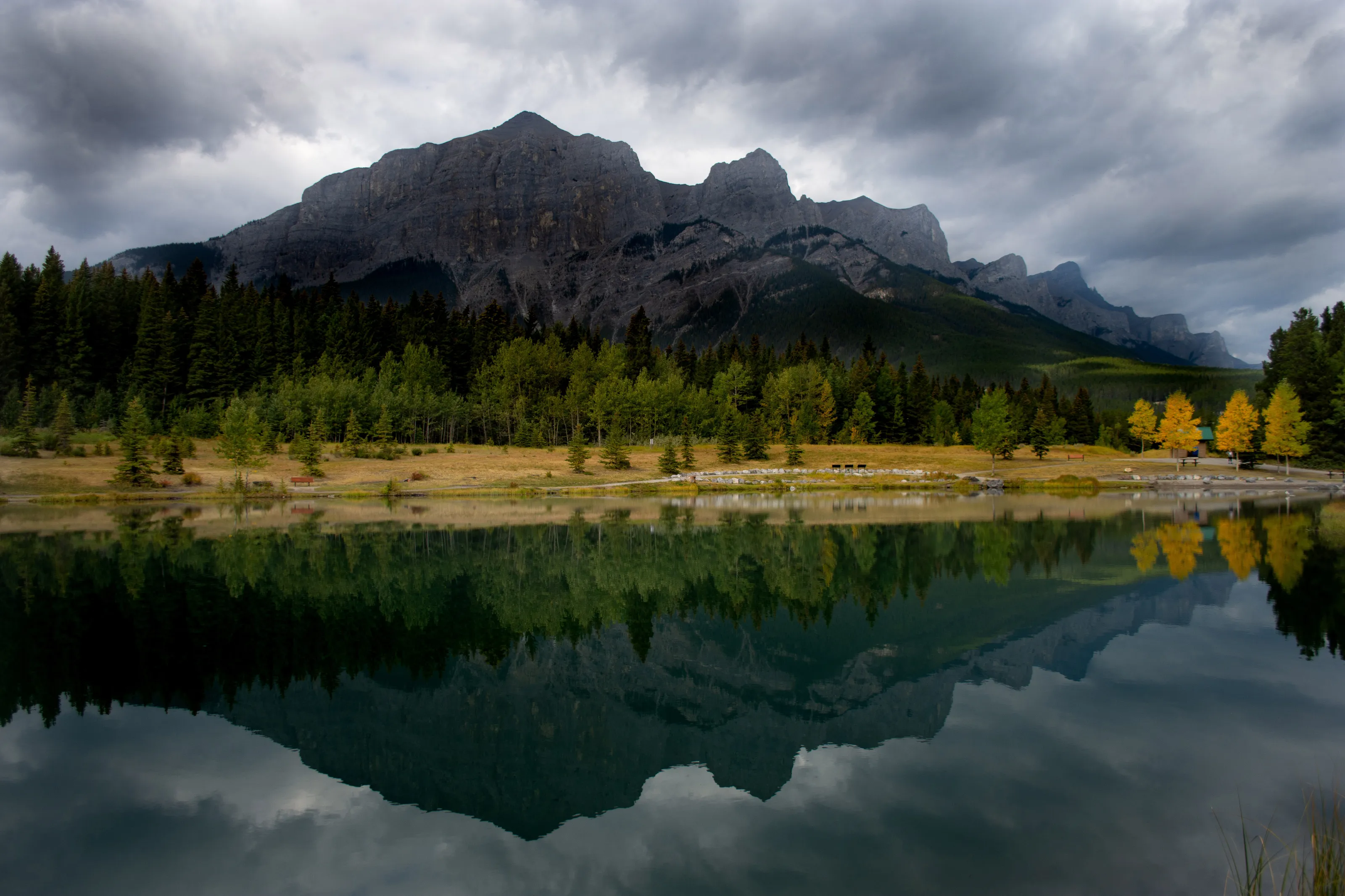 Rundle reflections