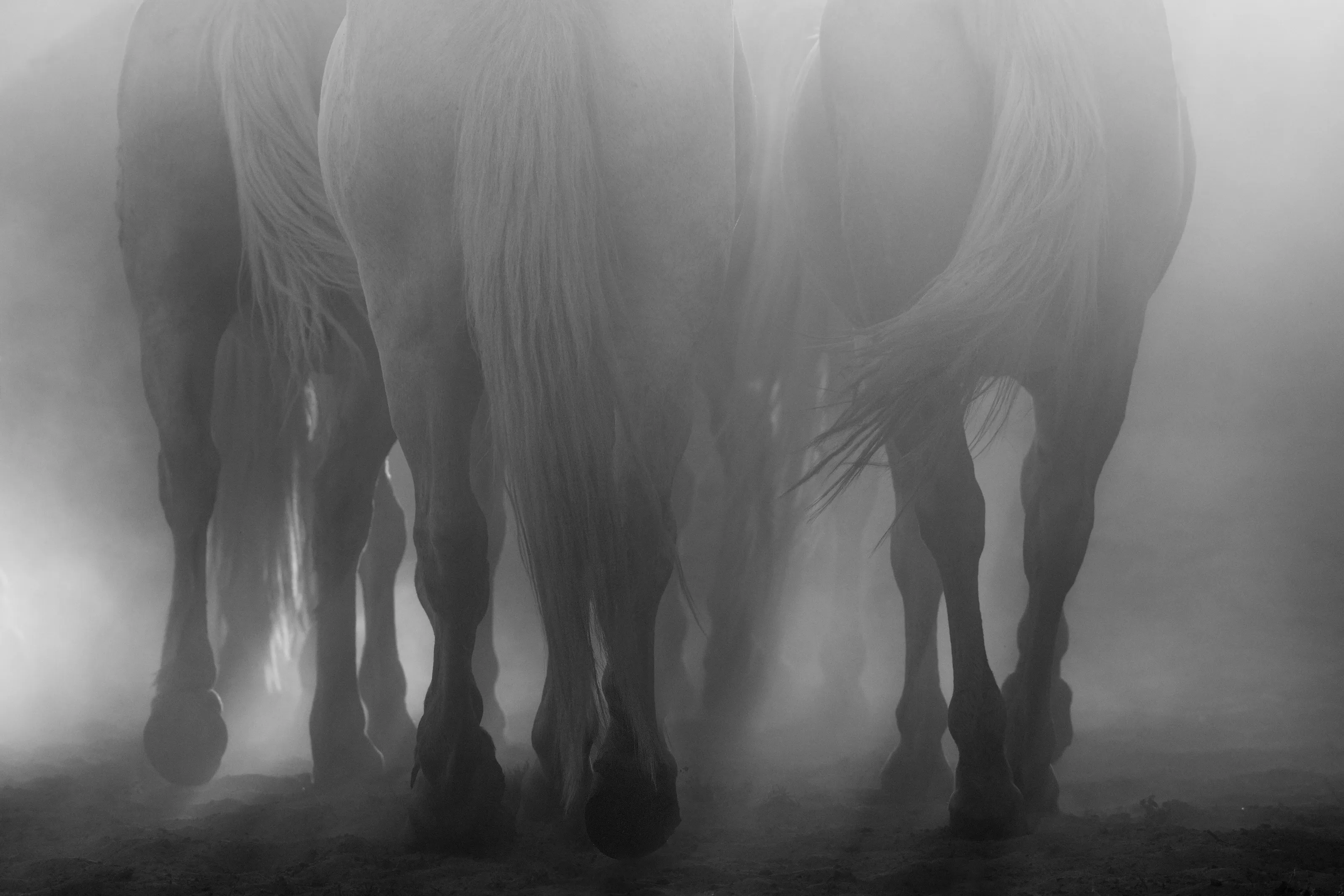 Where Angels Walk