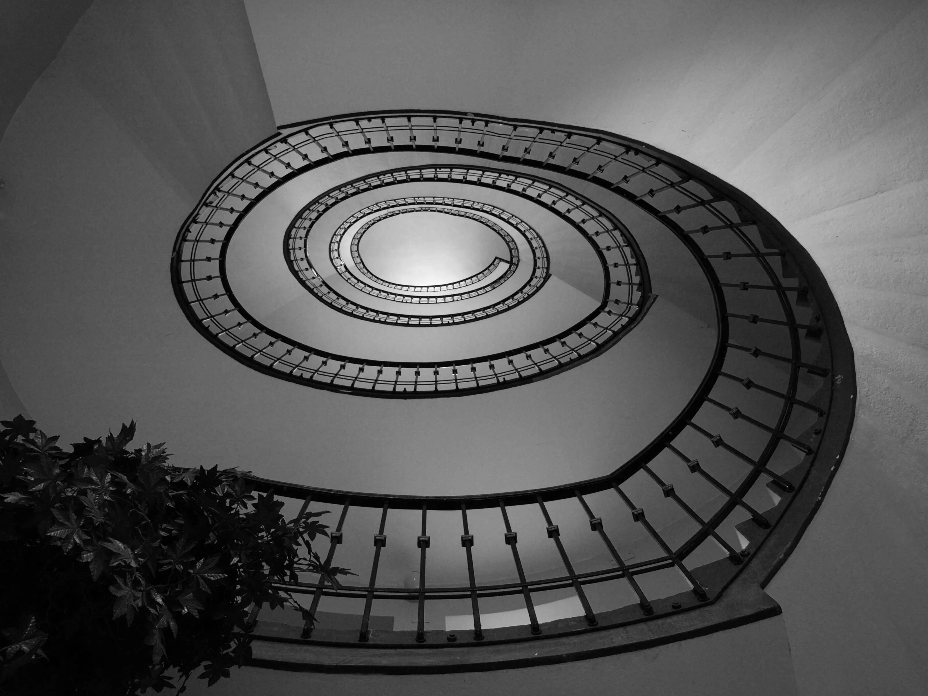 Look up!