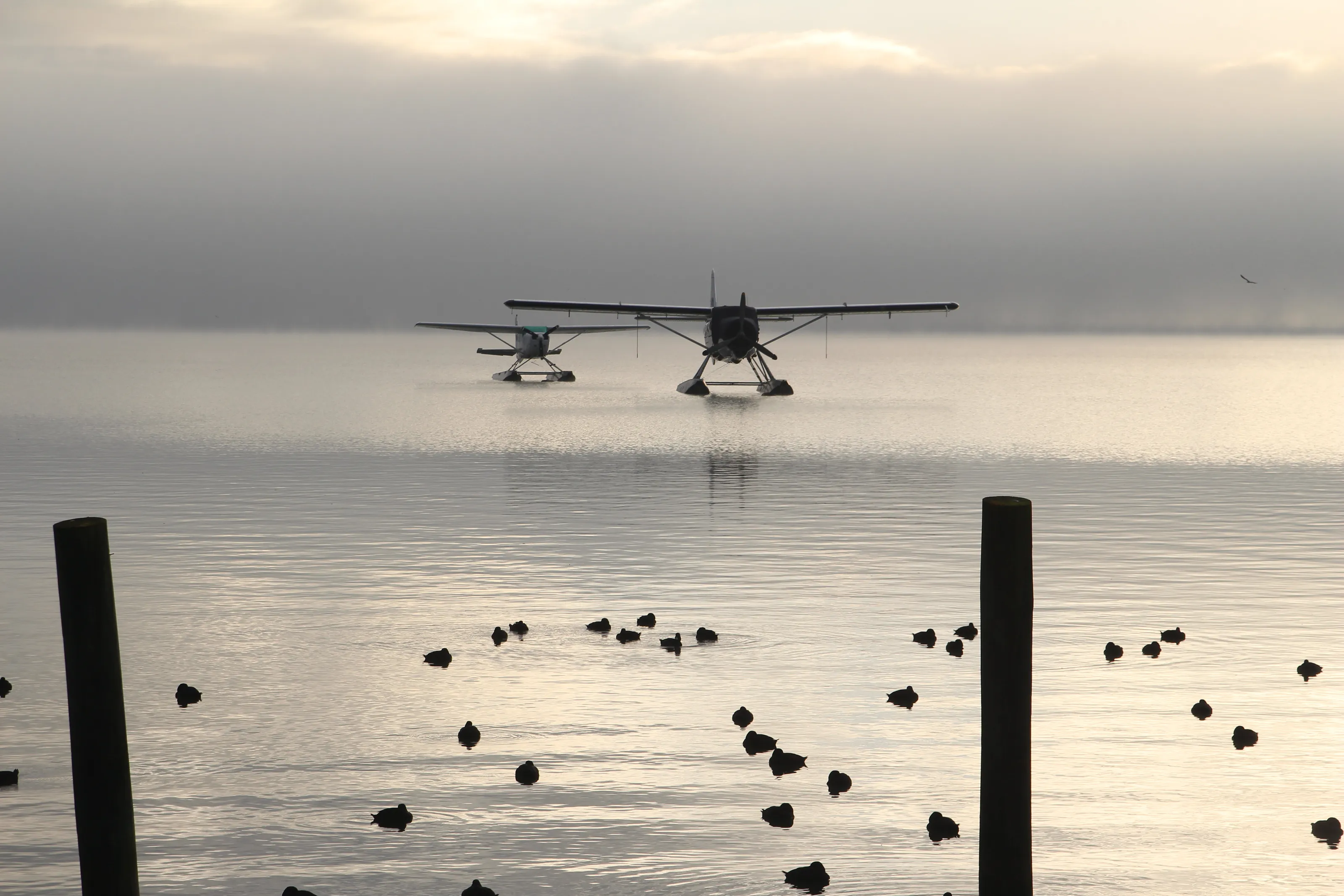 Floating planes