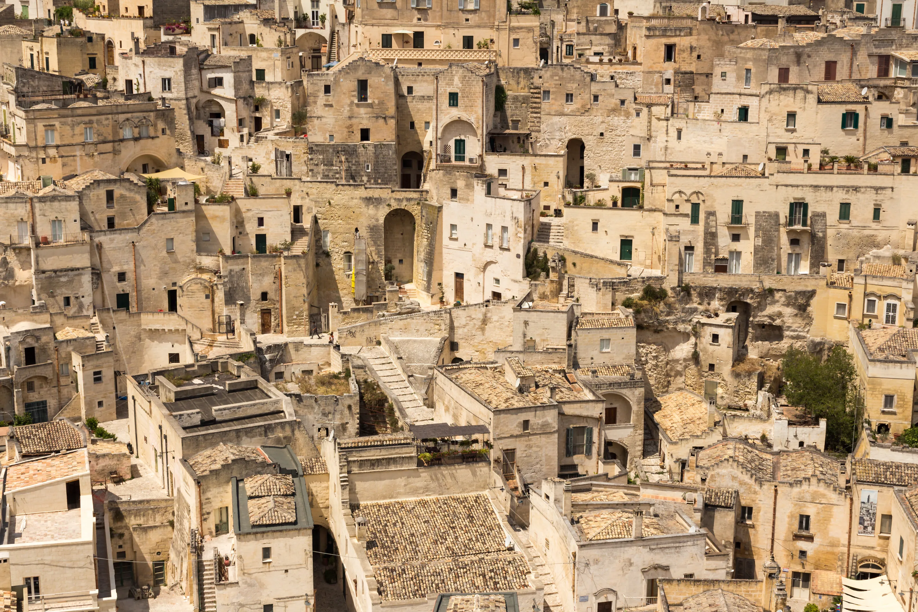 Lost in the world of the civilization