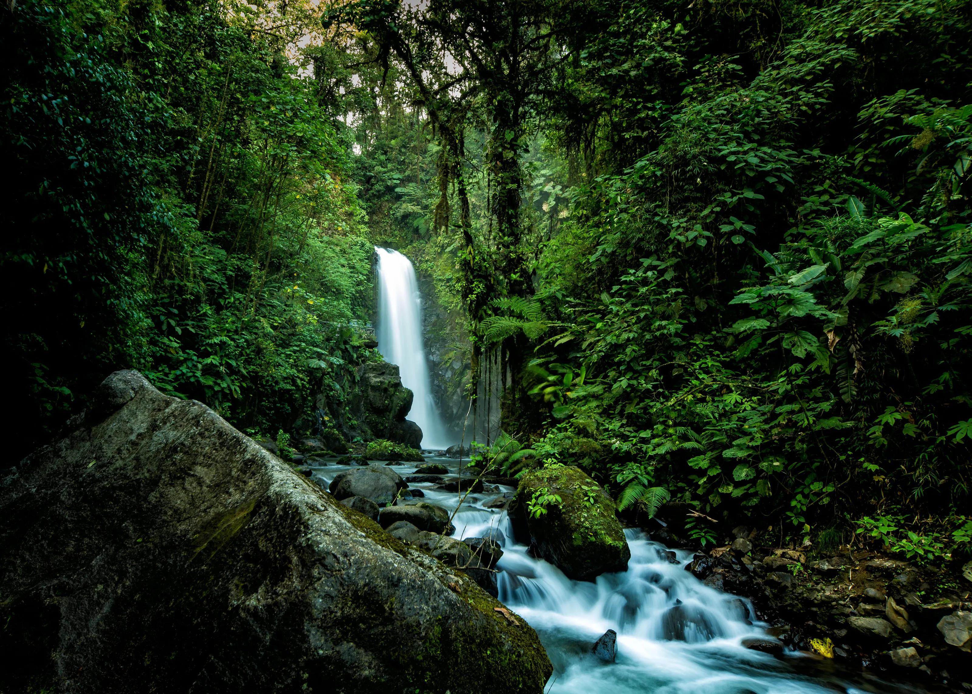 green vs. wet