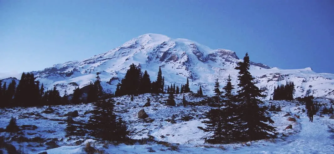 Mt. Rainier at Dusk