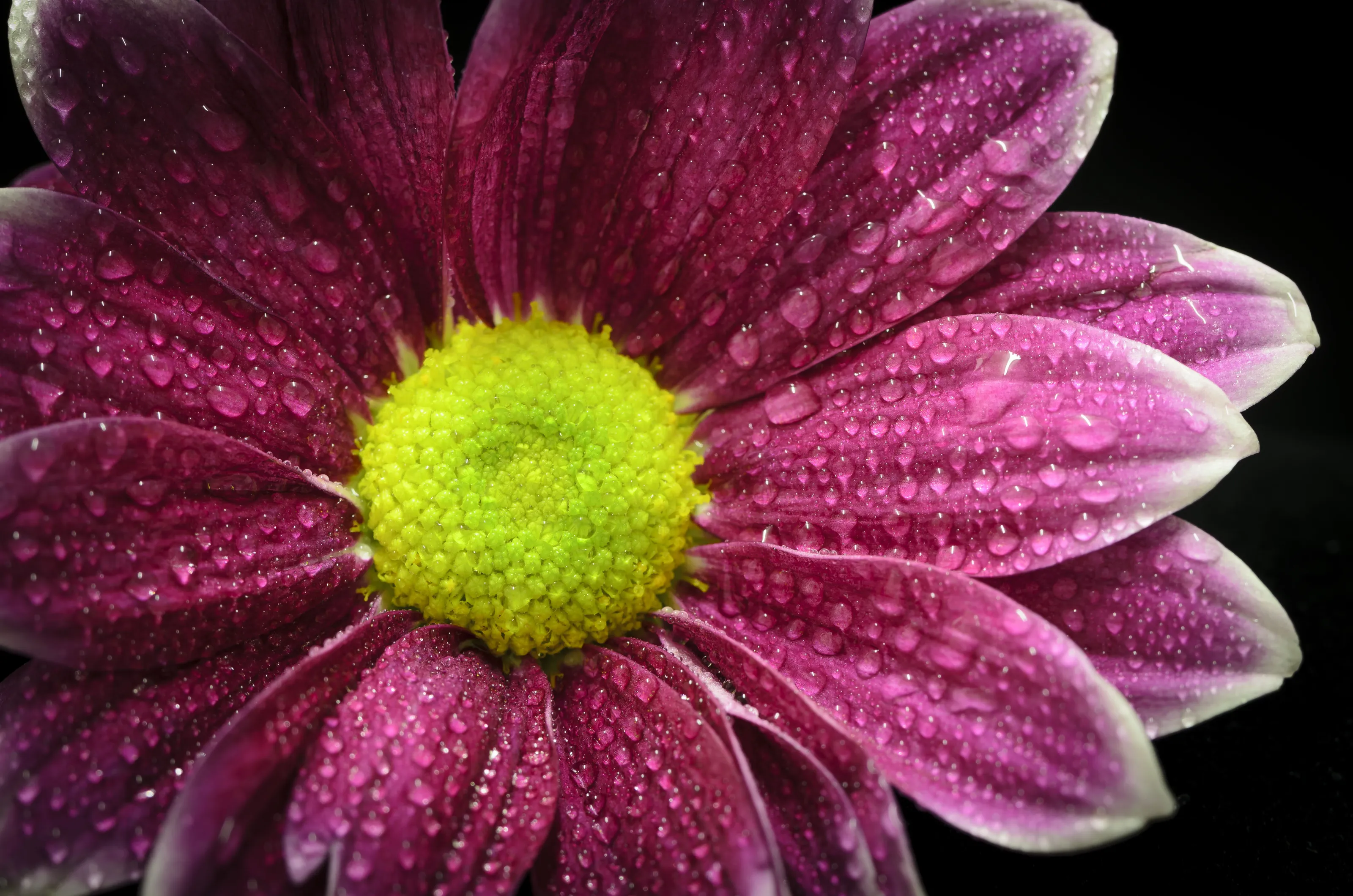 Warm Rain