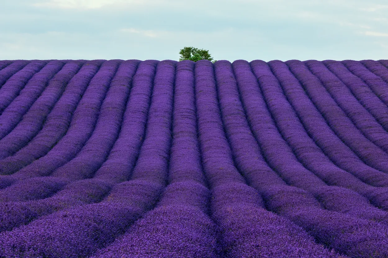 England's Provence