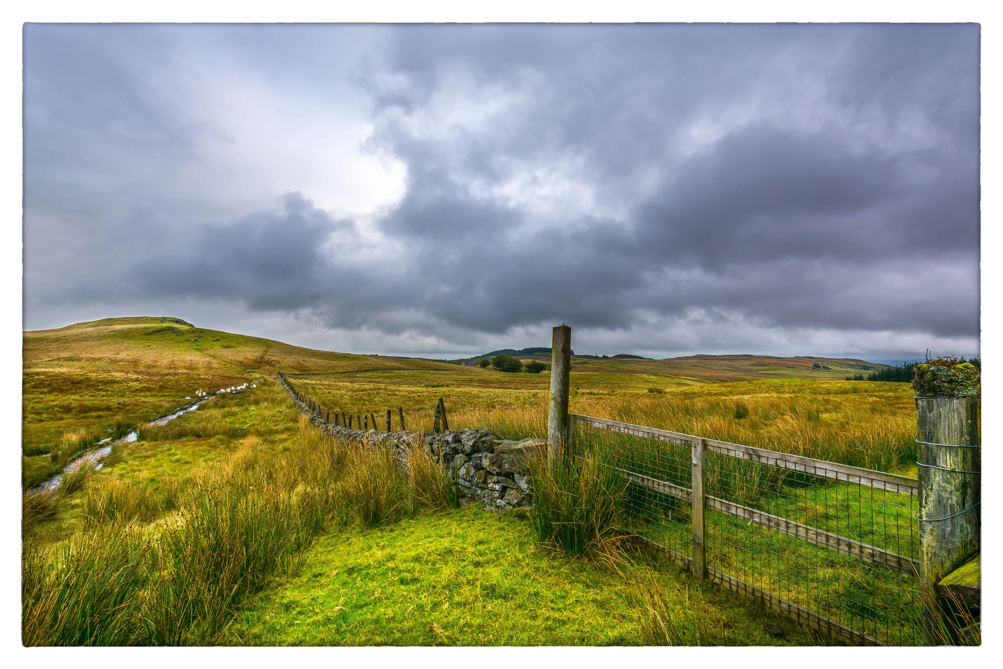 Windy Hill