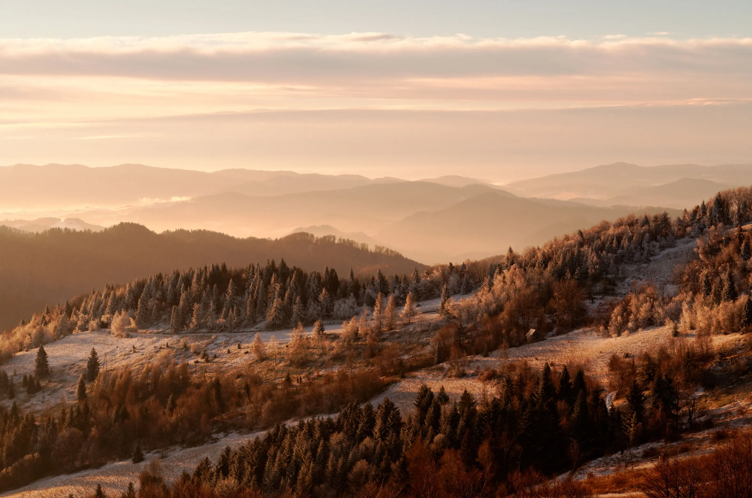 dawn