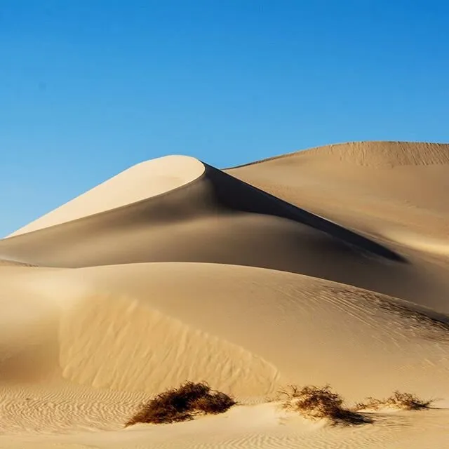 desert of siwa Egypt