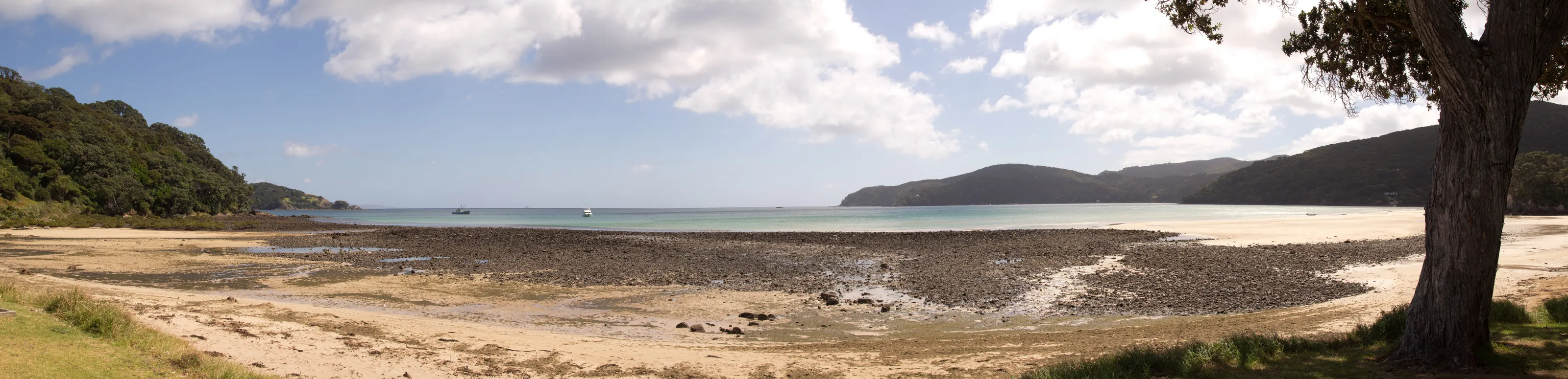 Cove on the Great Barrier Island