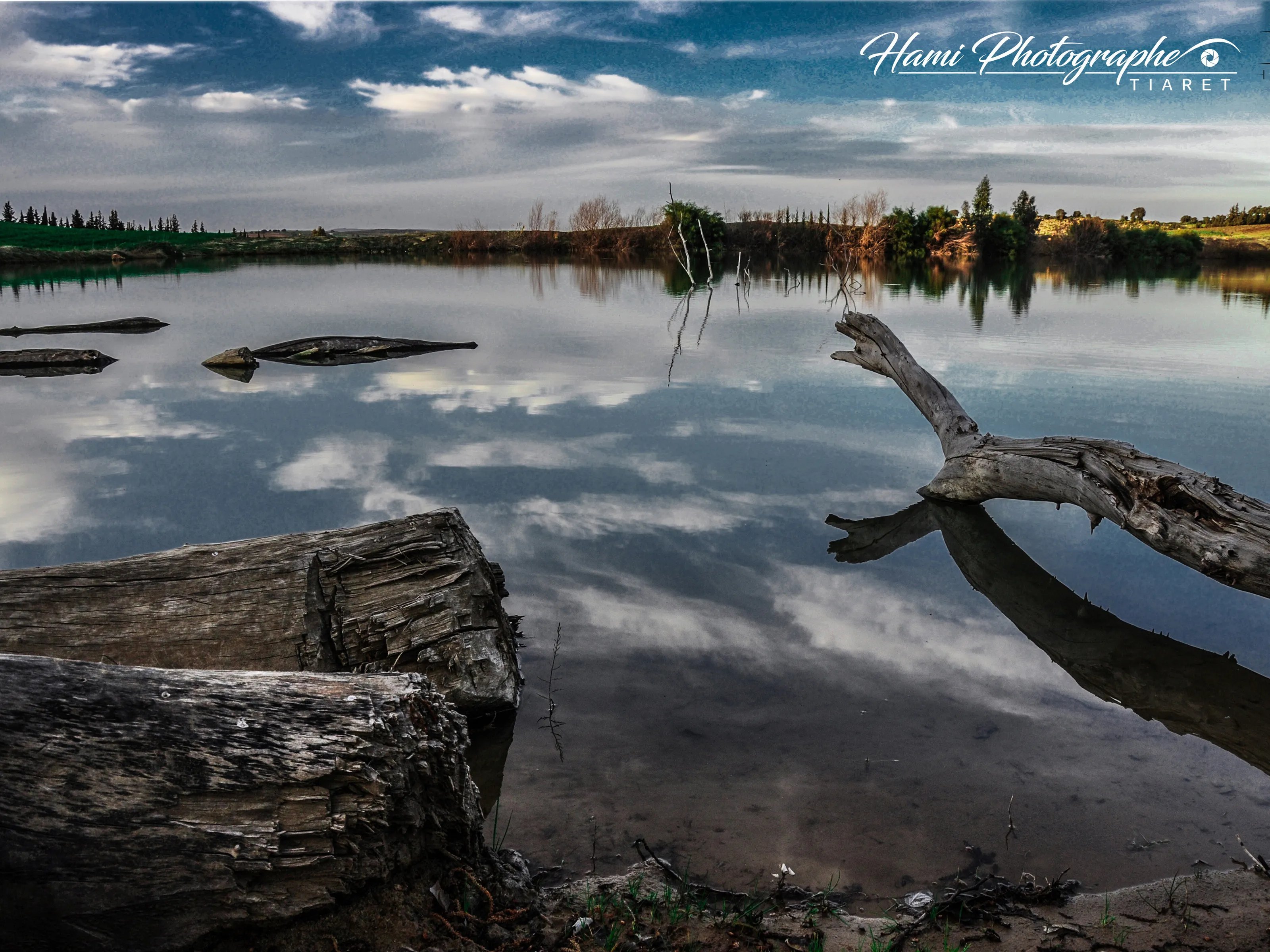 hami photographe tiaret