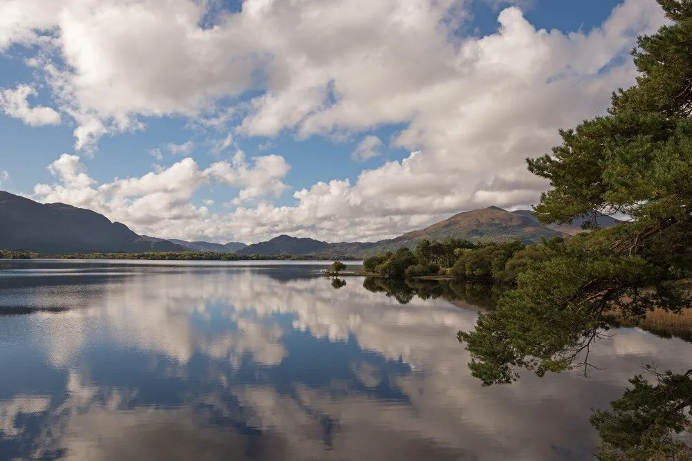 Reflections in a lake