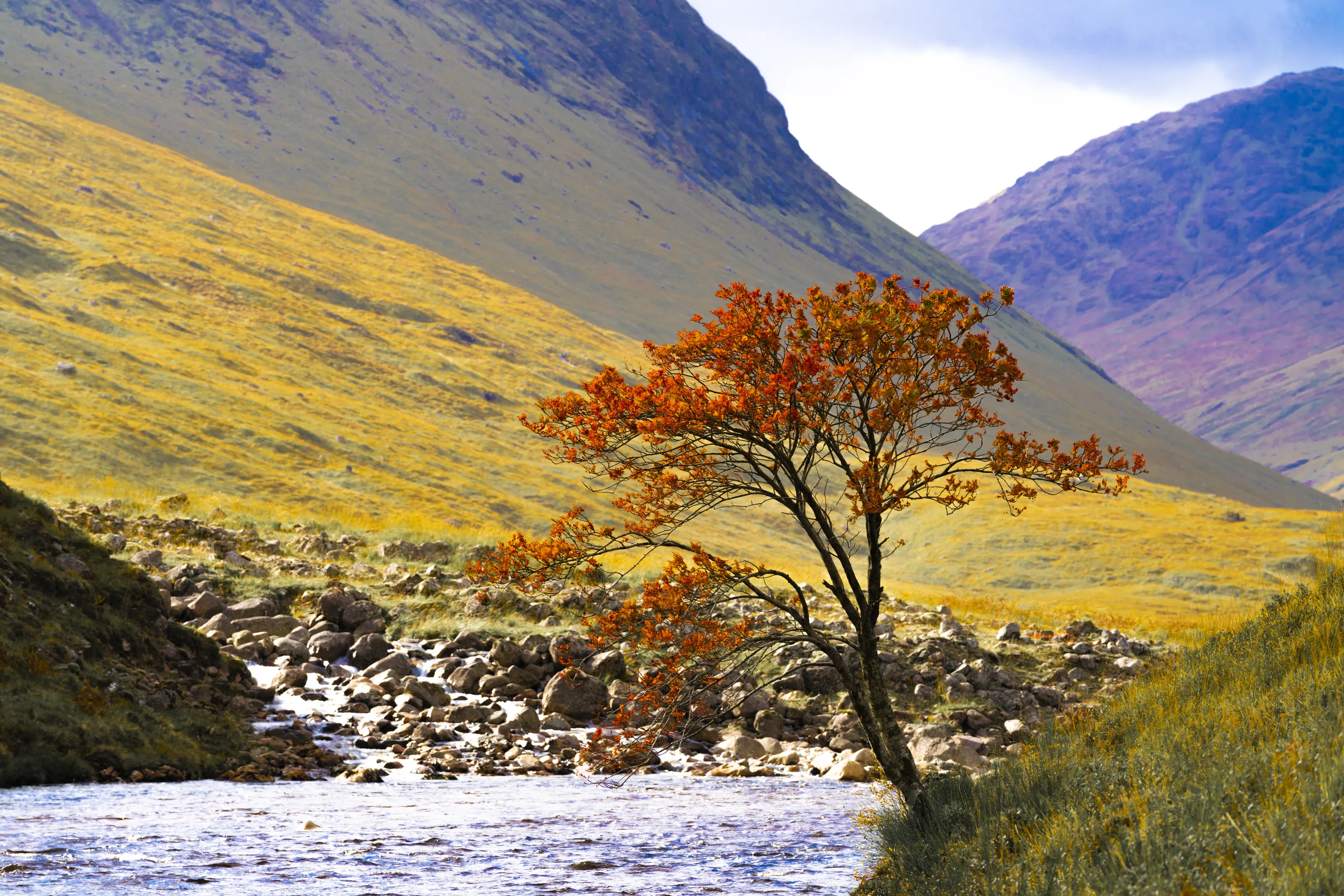 Autumnal Stripe