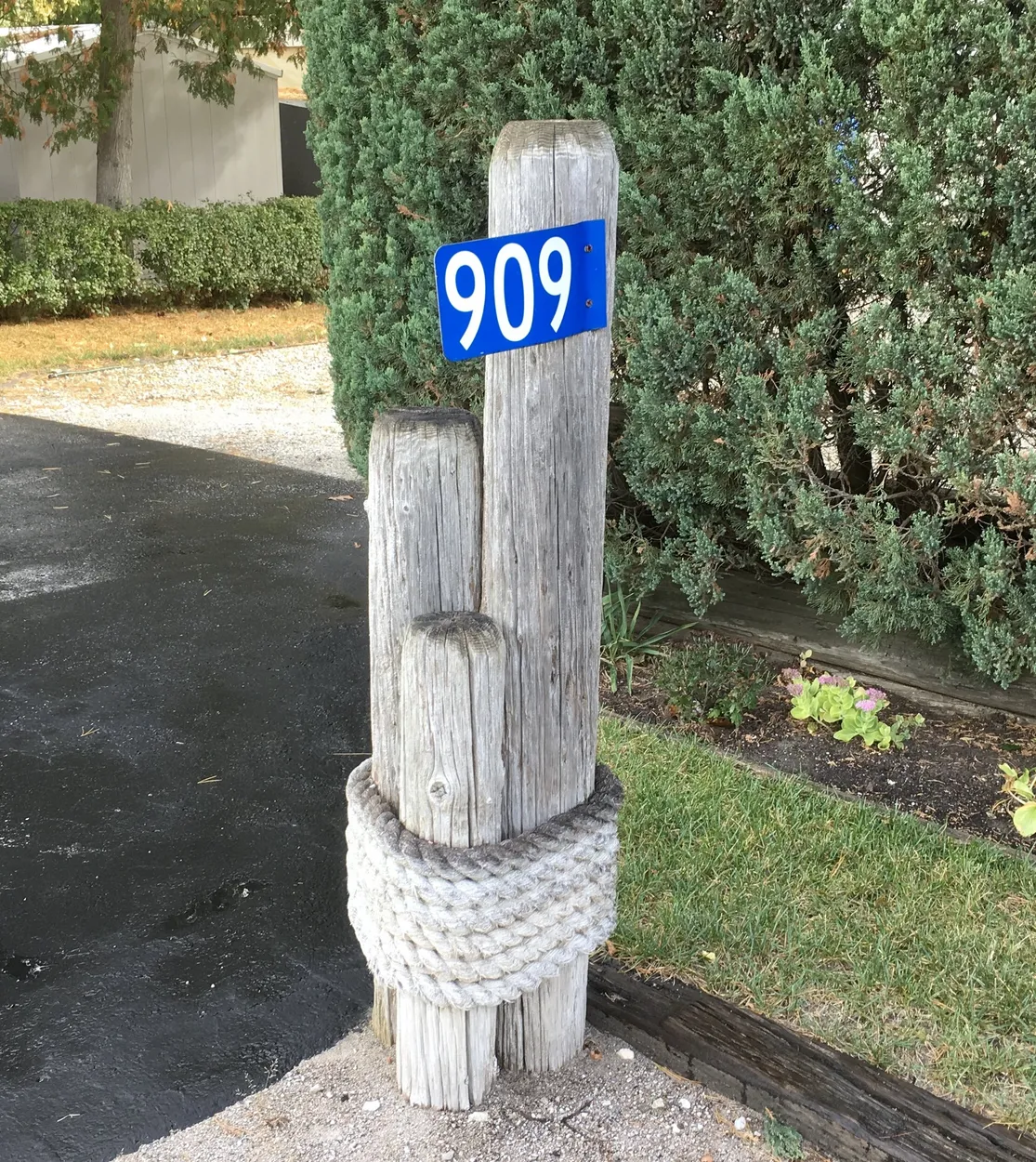 Entry 2951428