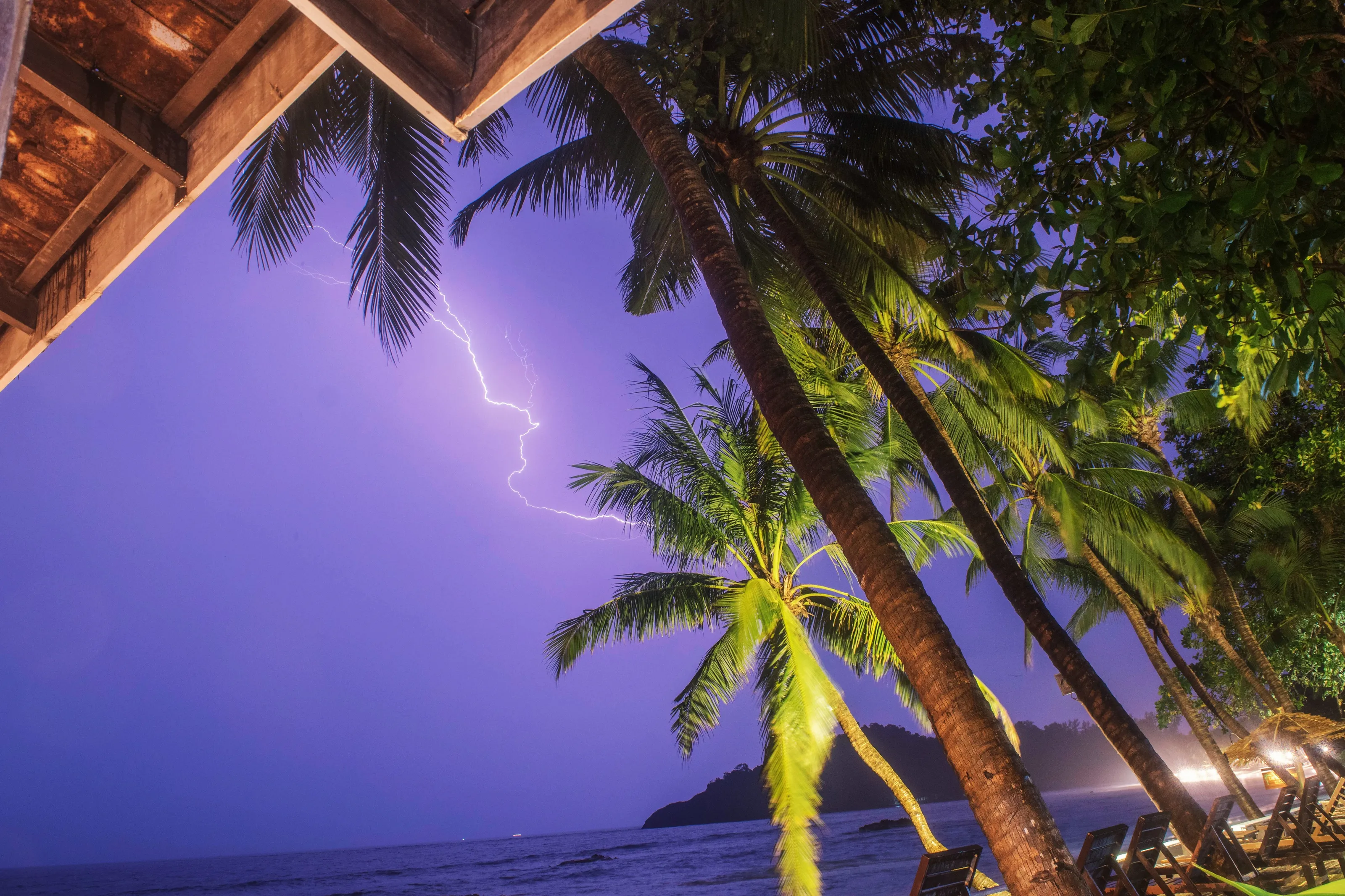 The Night Light